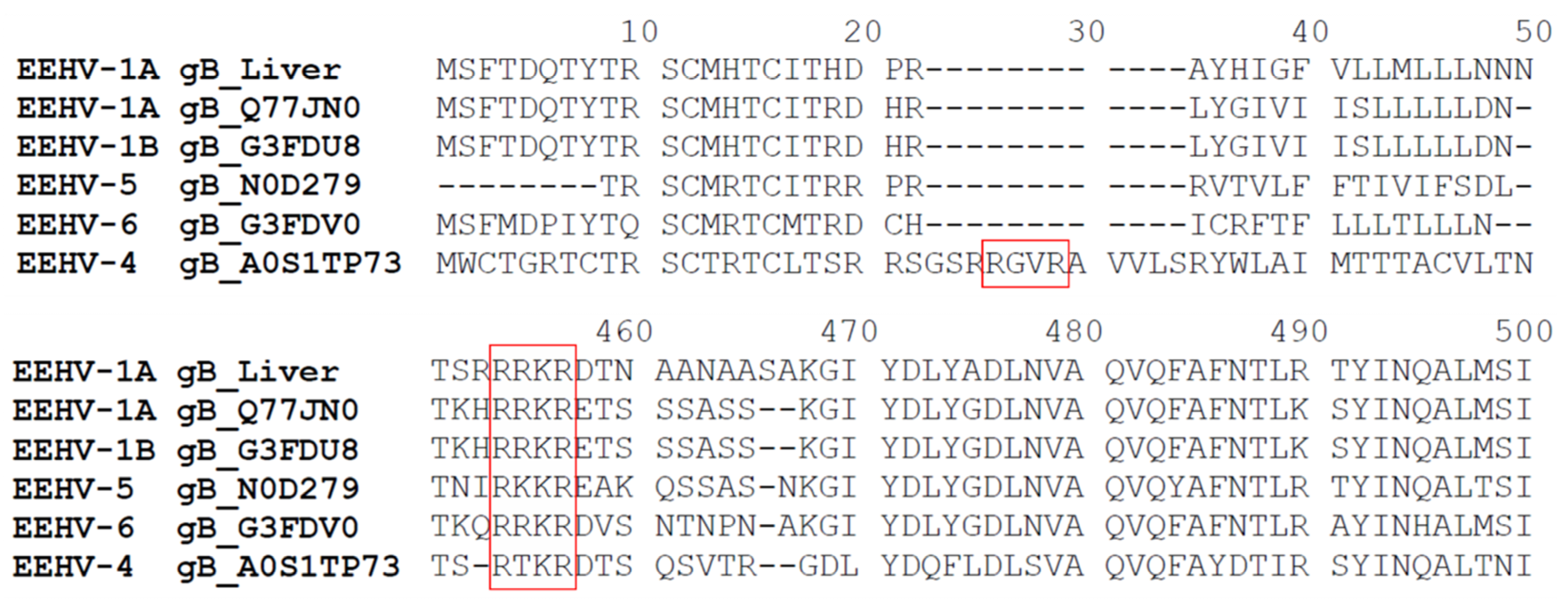 Microorganisms 07 00396 g004