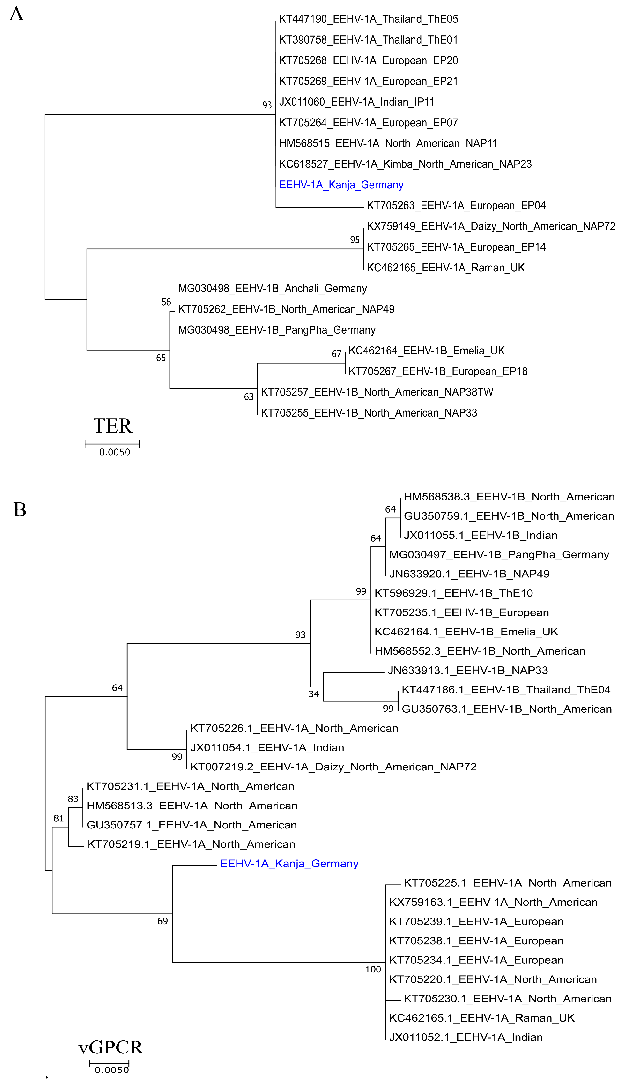 Microorganisms 07 00396 g006
