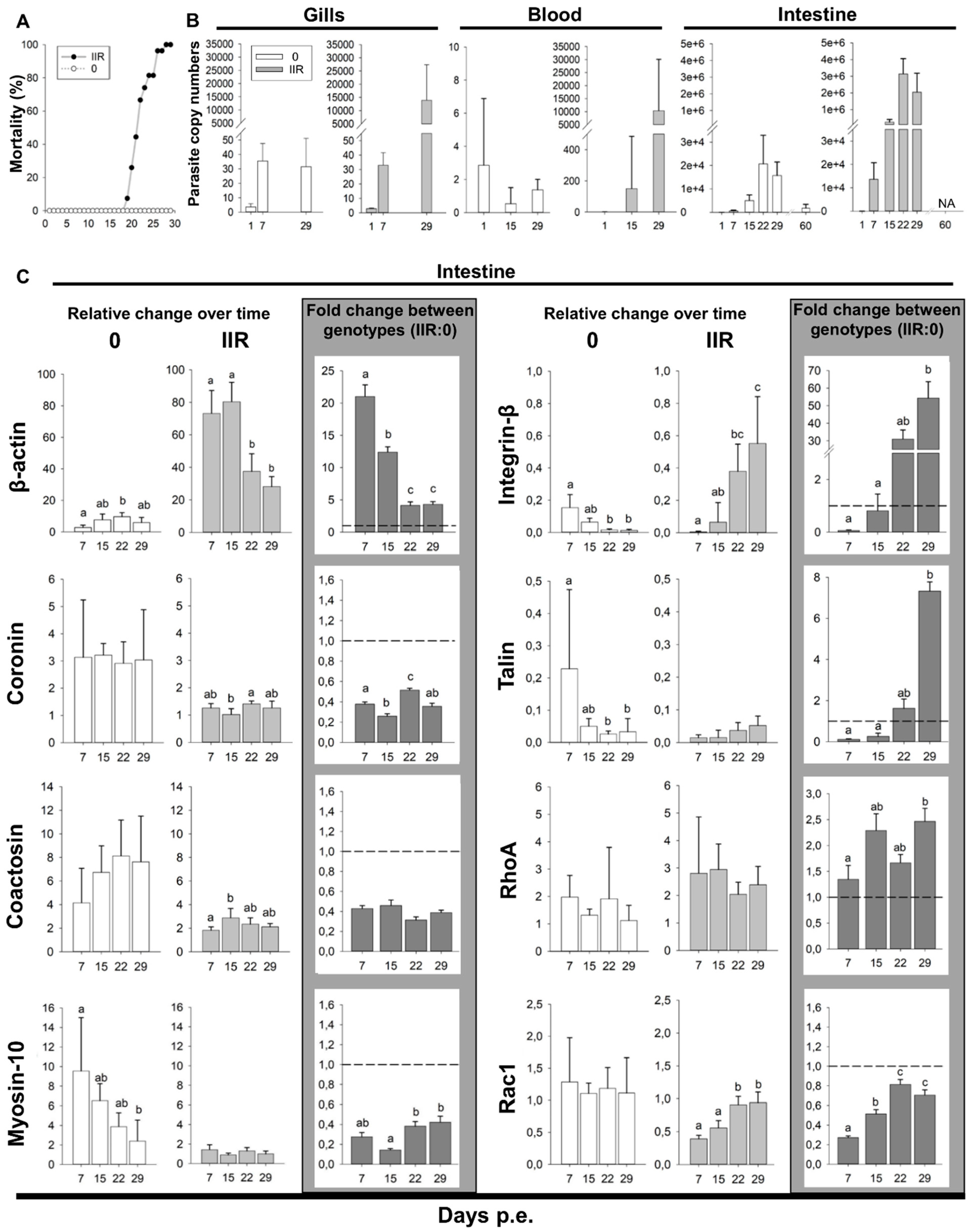 Microorganisms 07 00397 g007