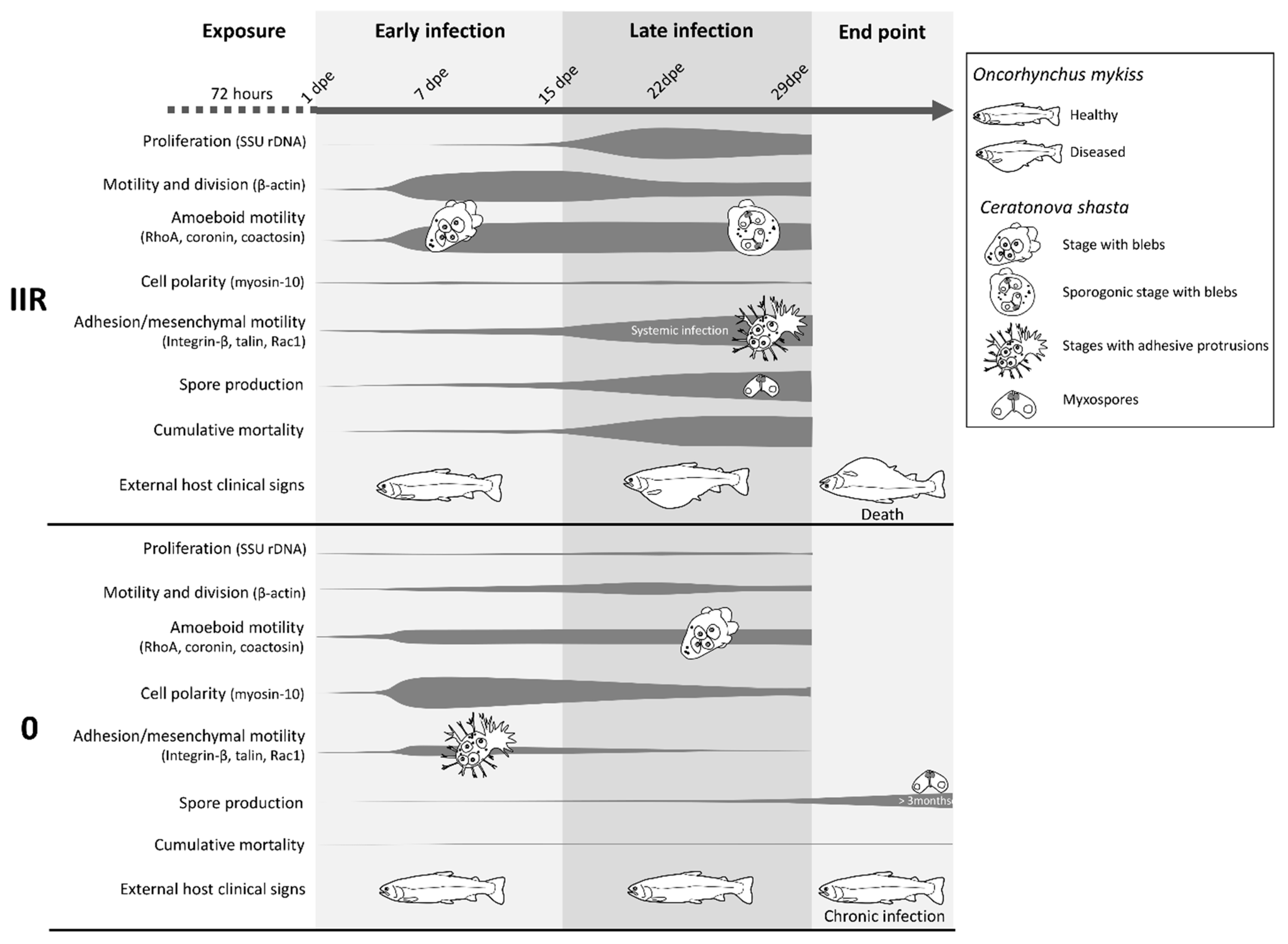 Microorganisms 07 00397 g008