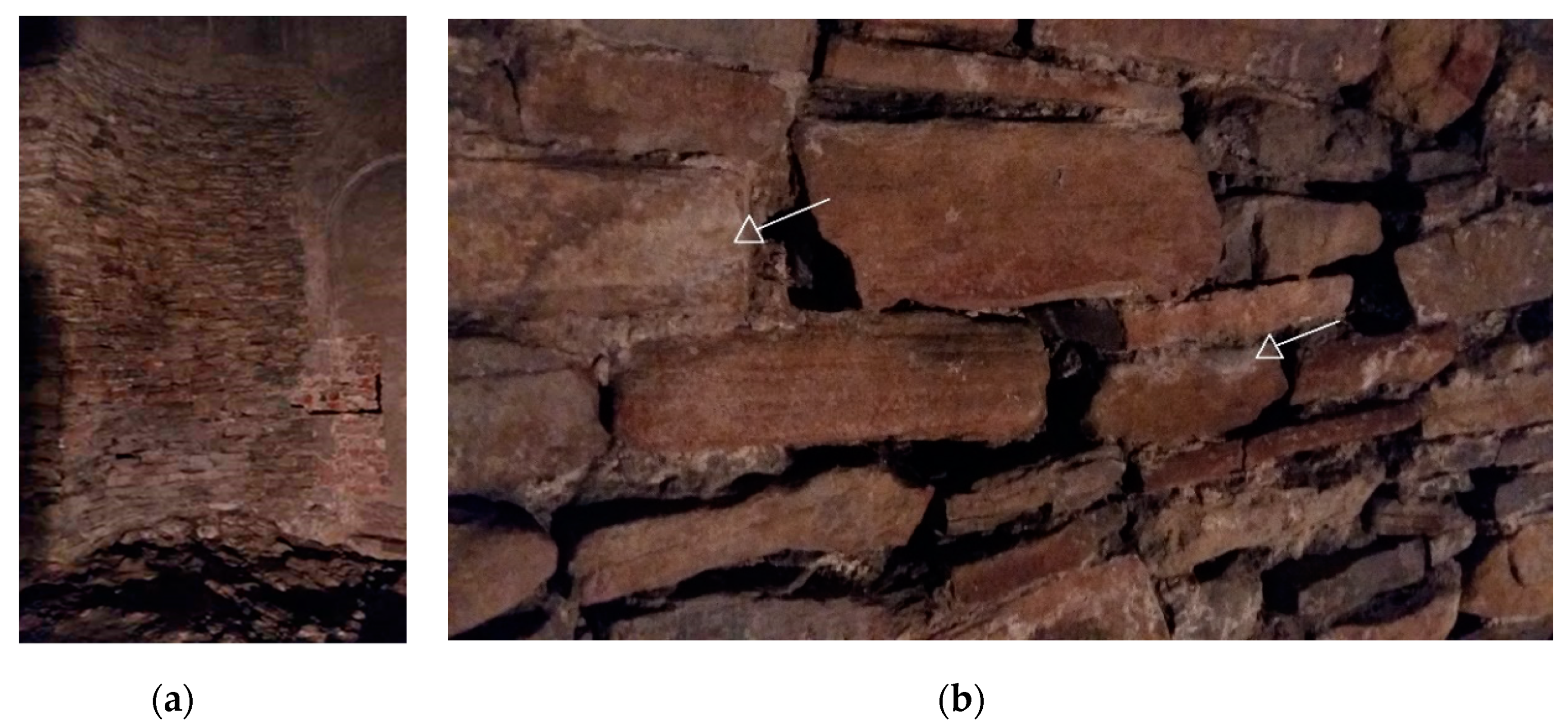 Microorganisms 07 00416 g001