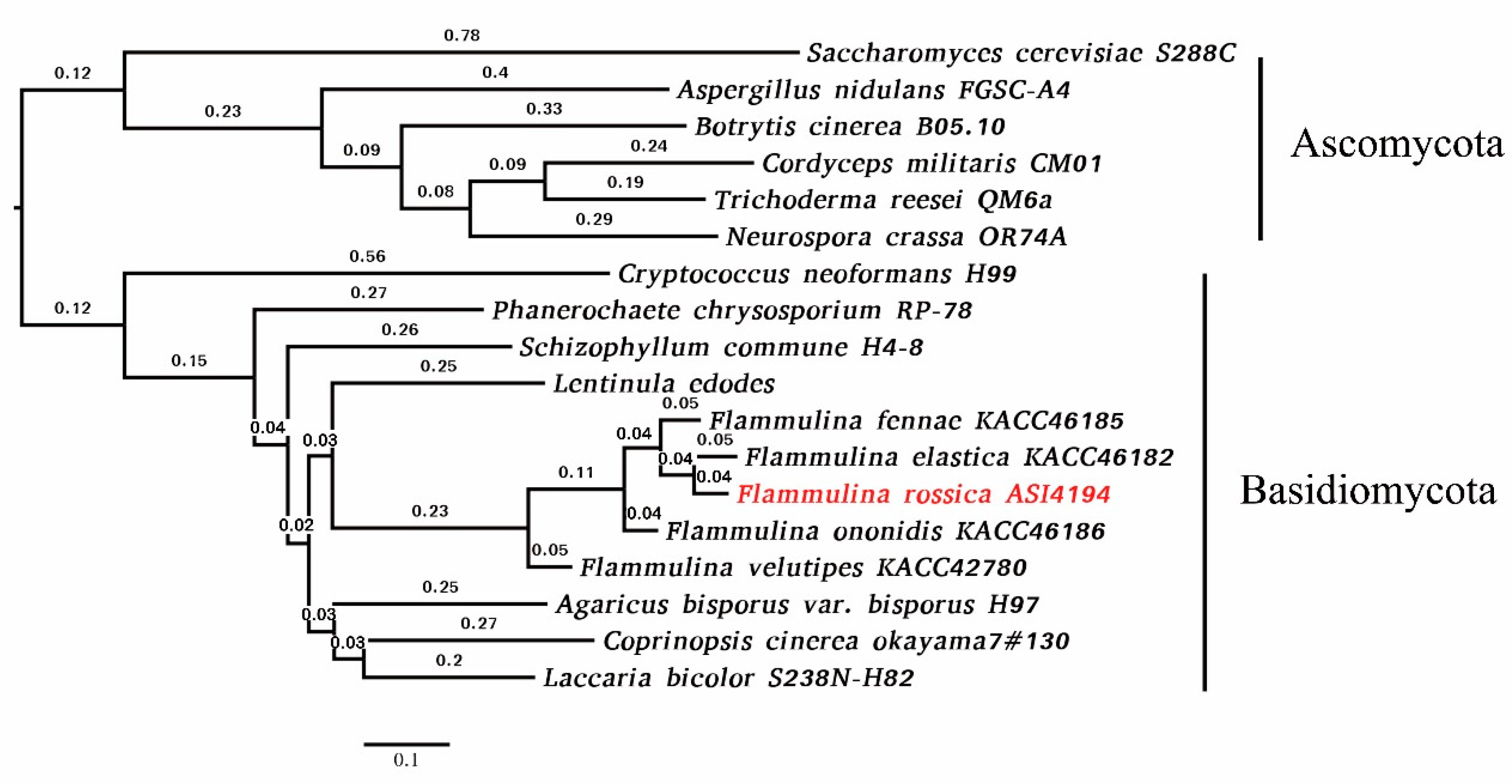 Microorganisms 07 00421 g001