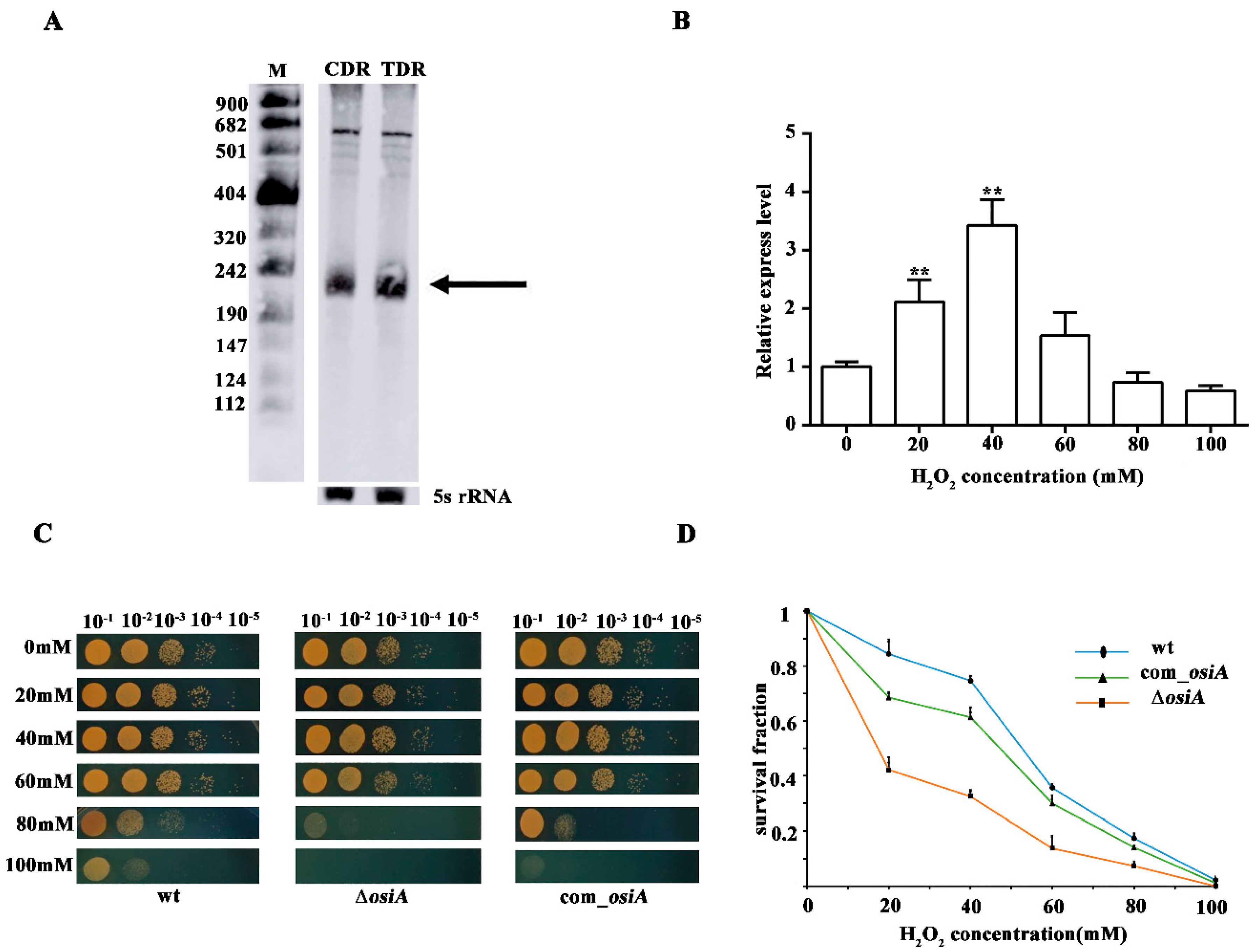 Microorganisms 07 00422 g001