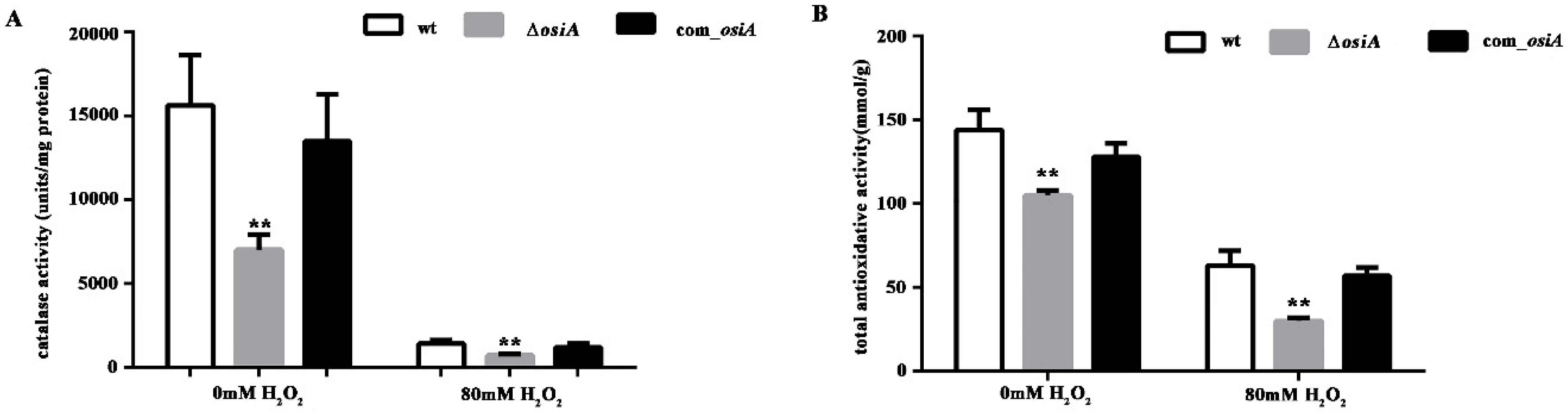 Microorganisms 07 00422 g002