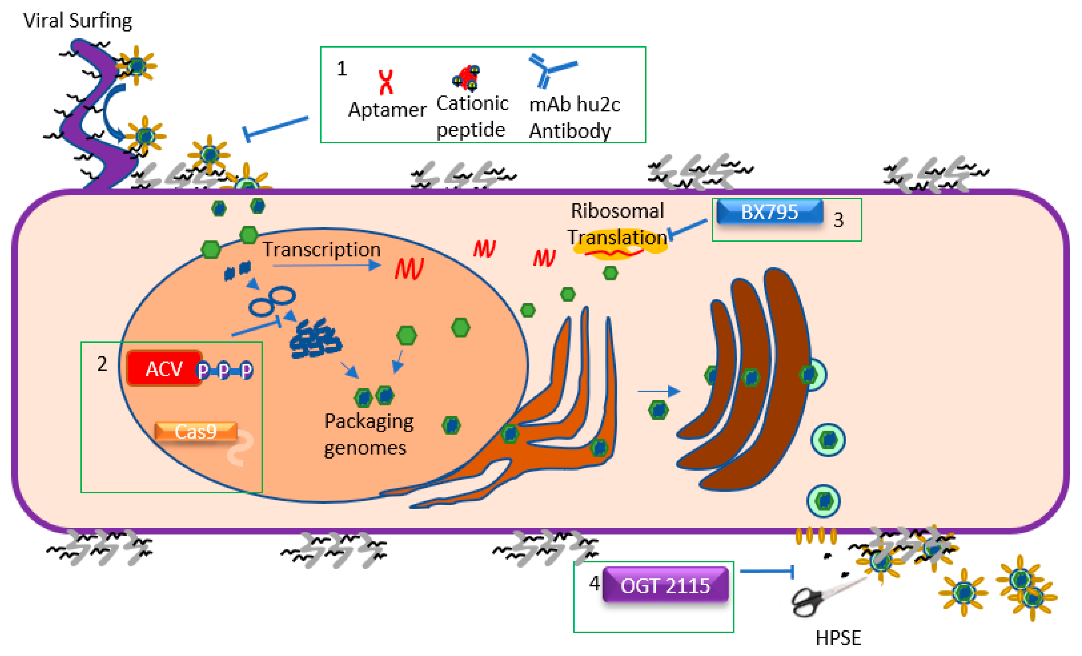 Microorganisms 07 00429 g002
