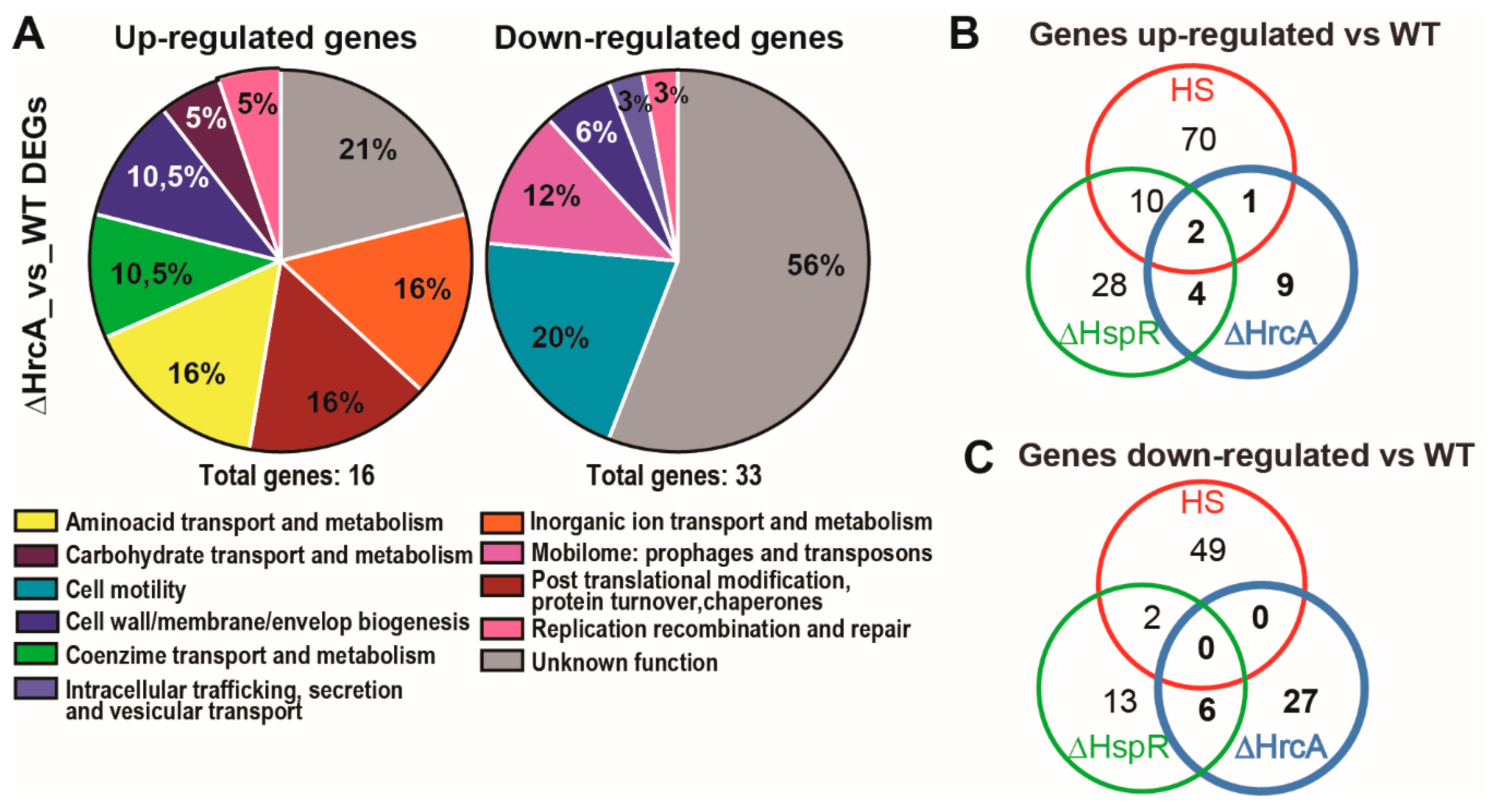 Microorganisms 07 00436 g002