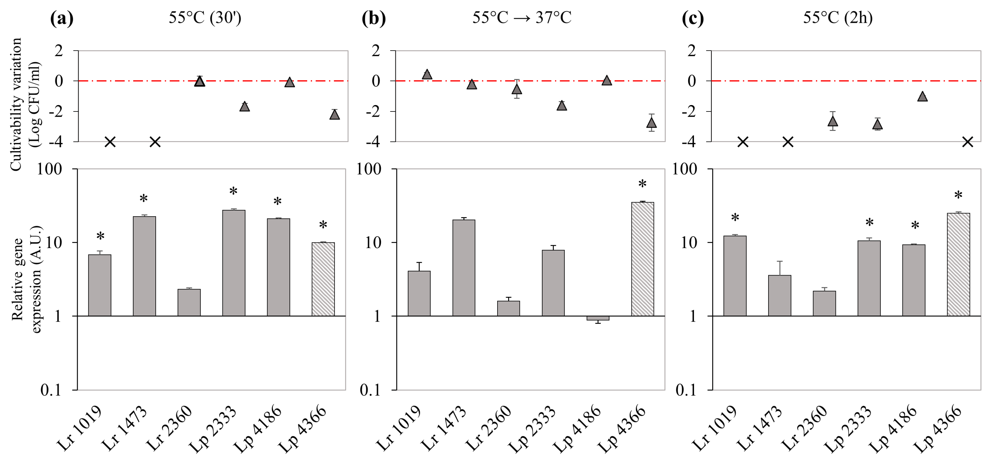 Microorganisms 07 00438 g006 Microorganisms 07 00438 g006