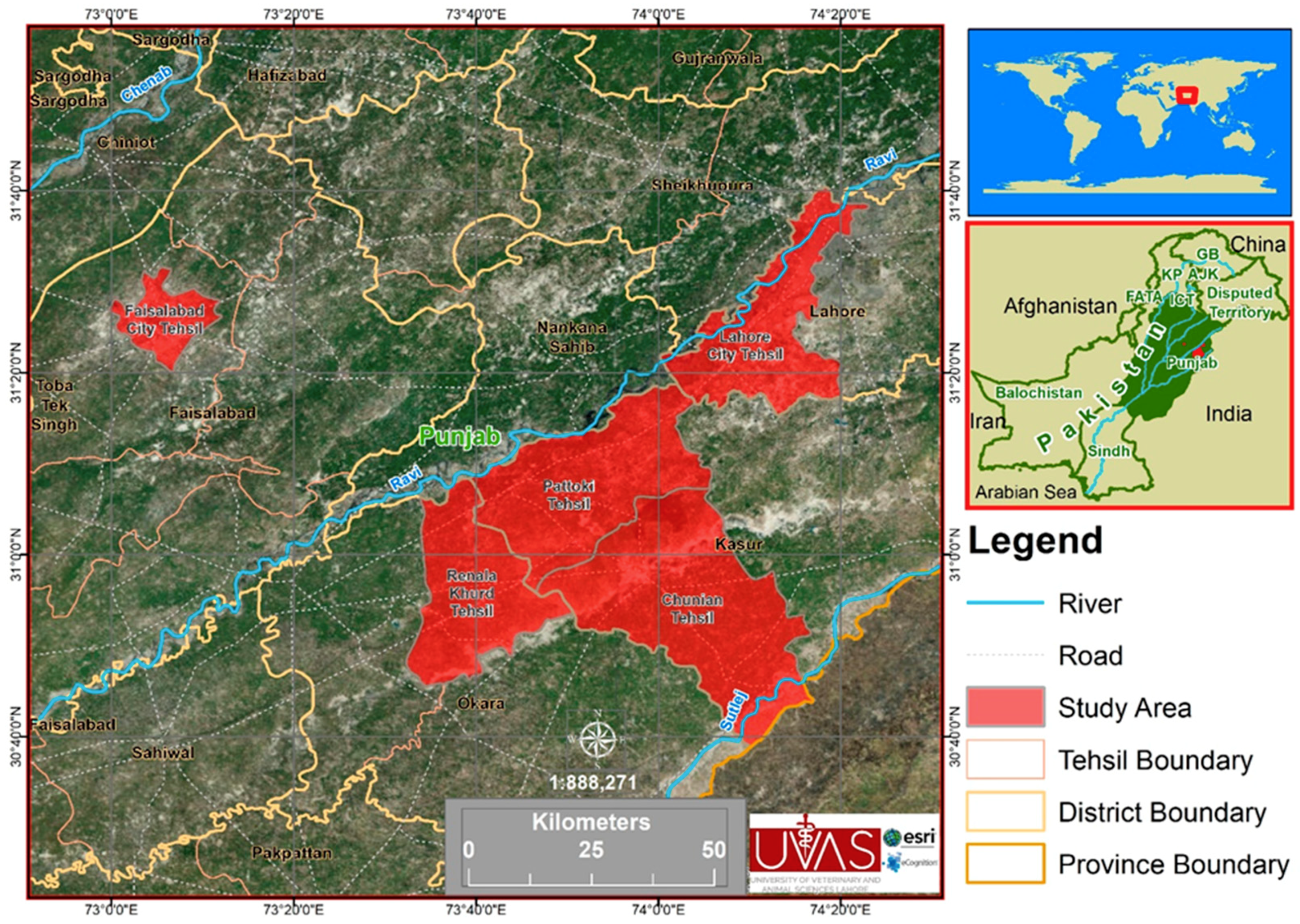 Microorganisms 07 00449 g001