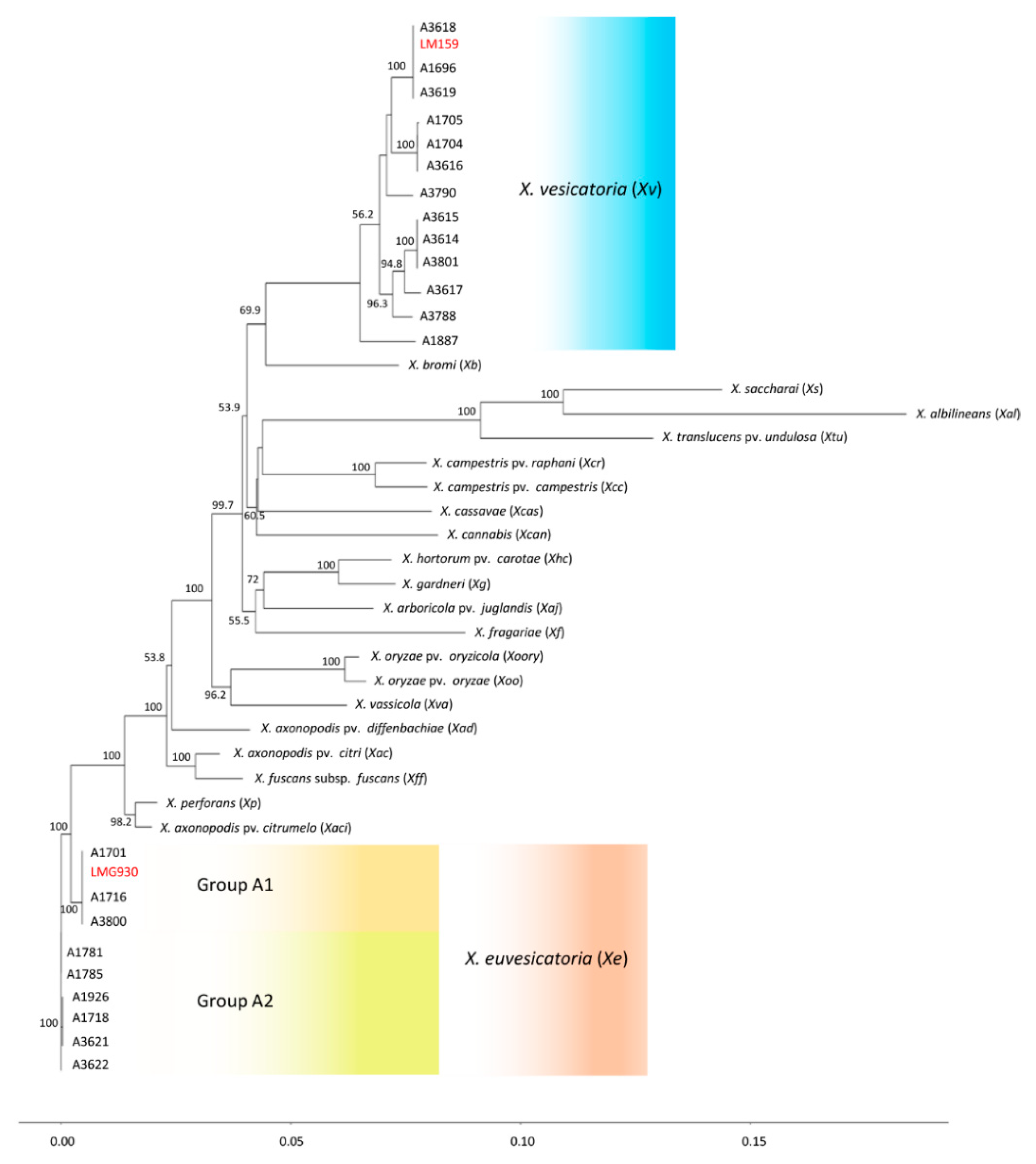 Microorganisms 07 00462 g002