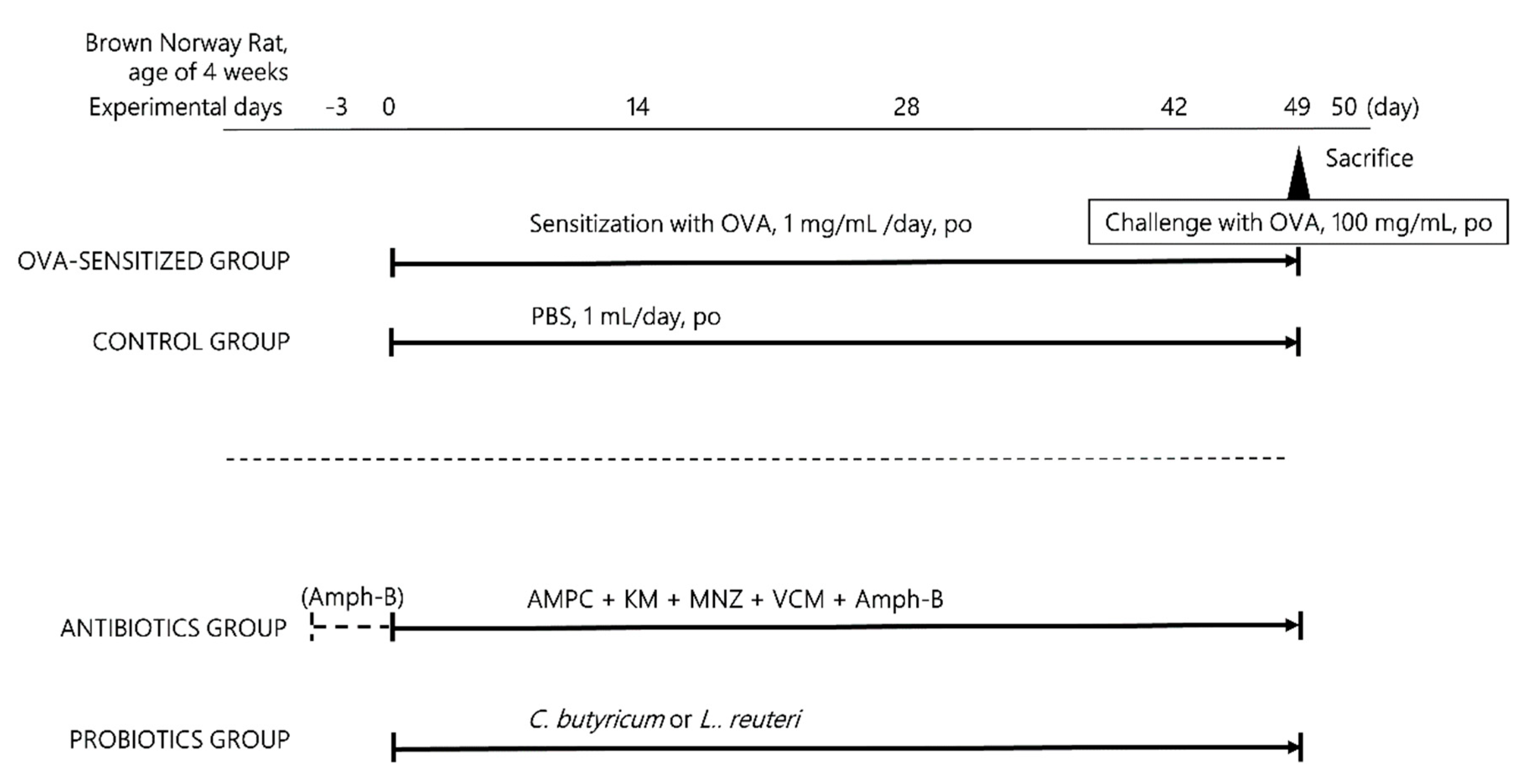 Microorganisms 07 00463 g001