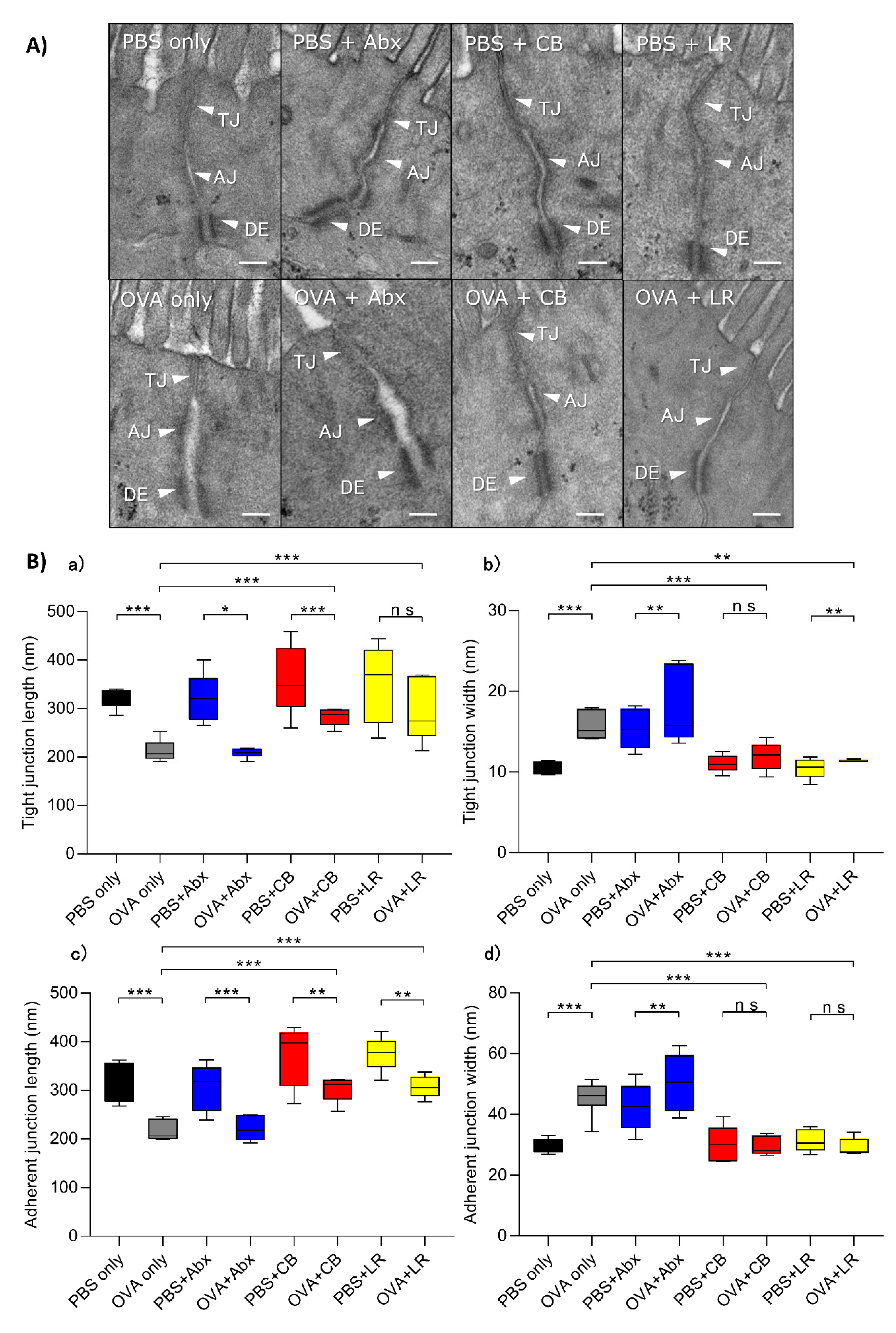 Microorganisms 07 00463 g004