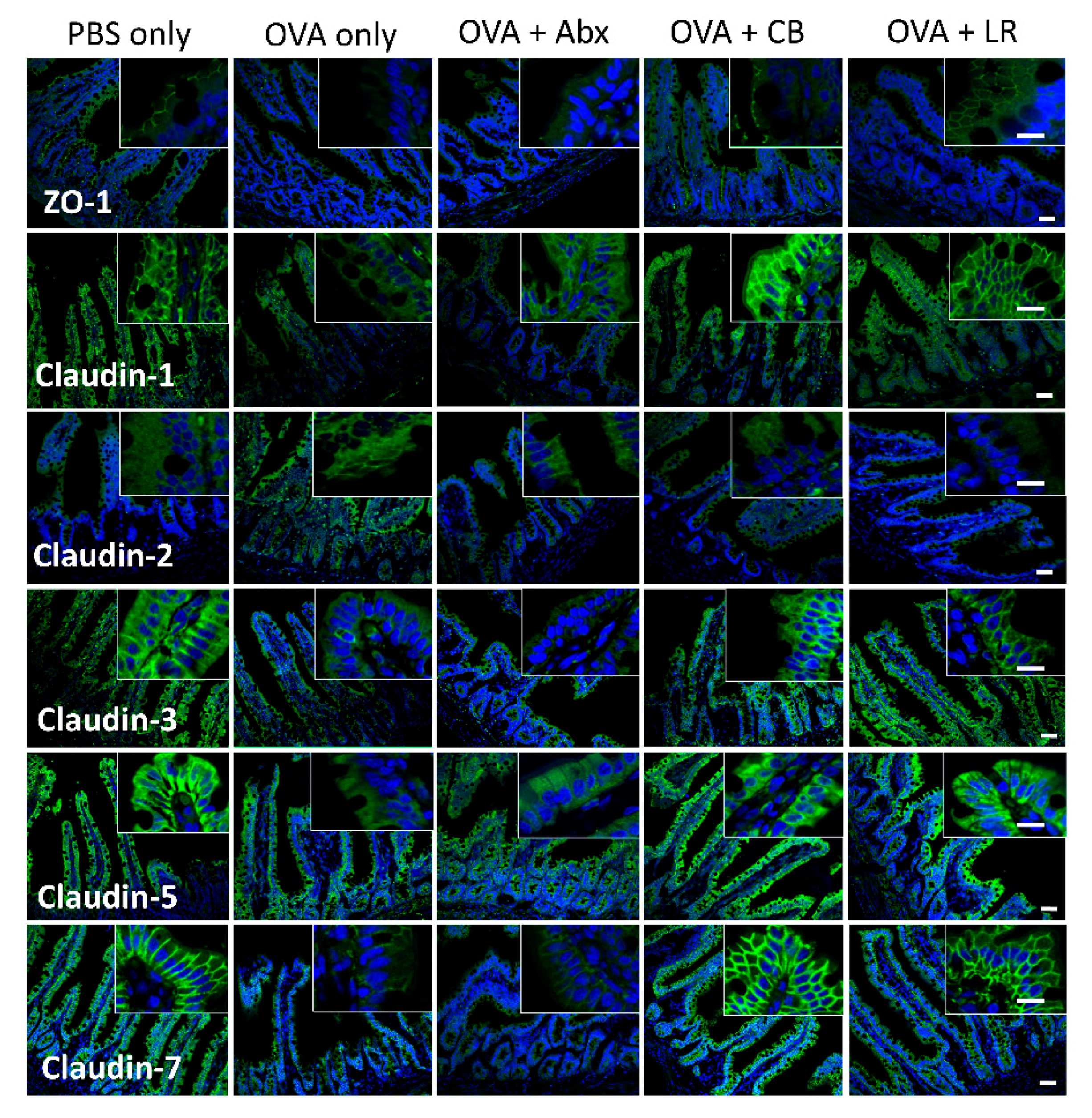 Microorganisms 07 00463 g006