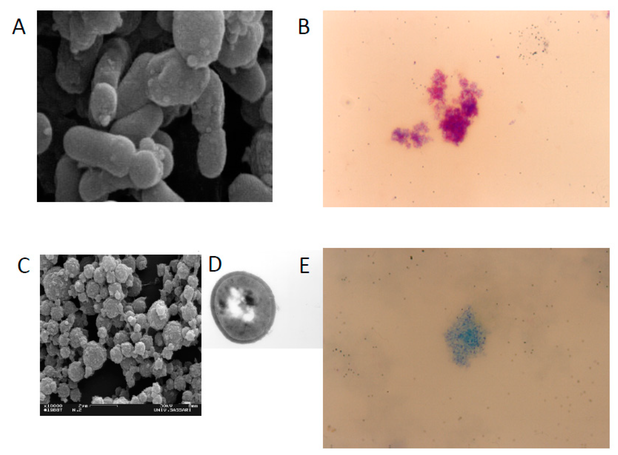 Microorganisms 07 00466 g001 Microorganisms 07 00466 g001