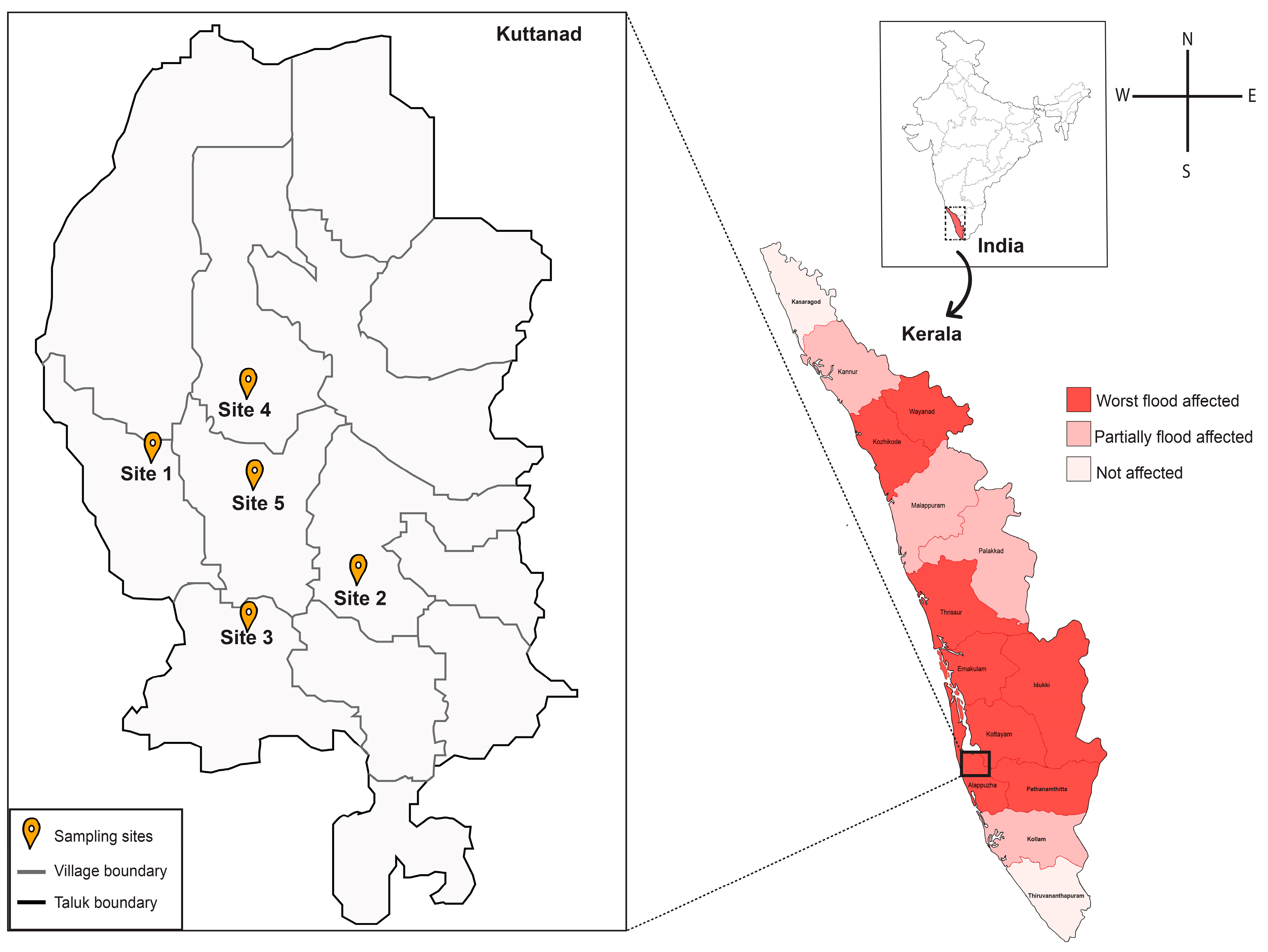 Microorganisms 07 00474 g004