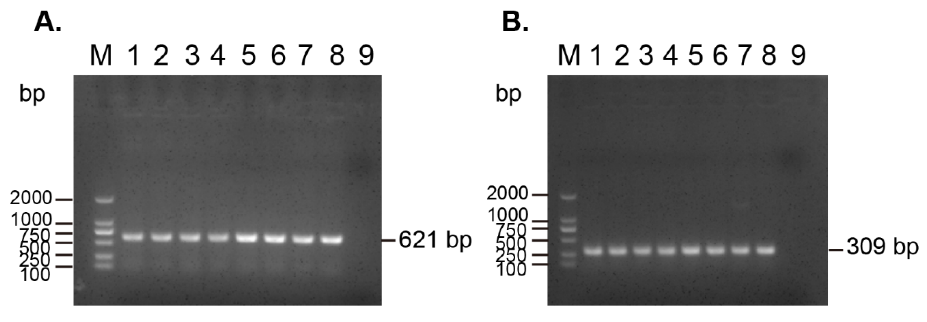 Microorganisms 07 00482 g002