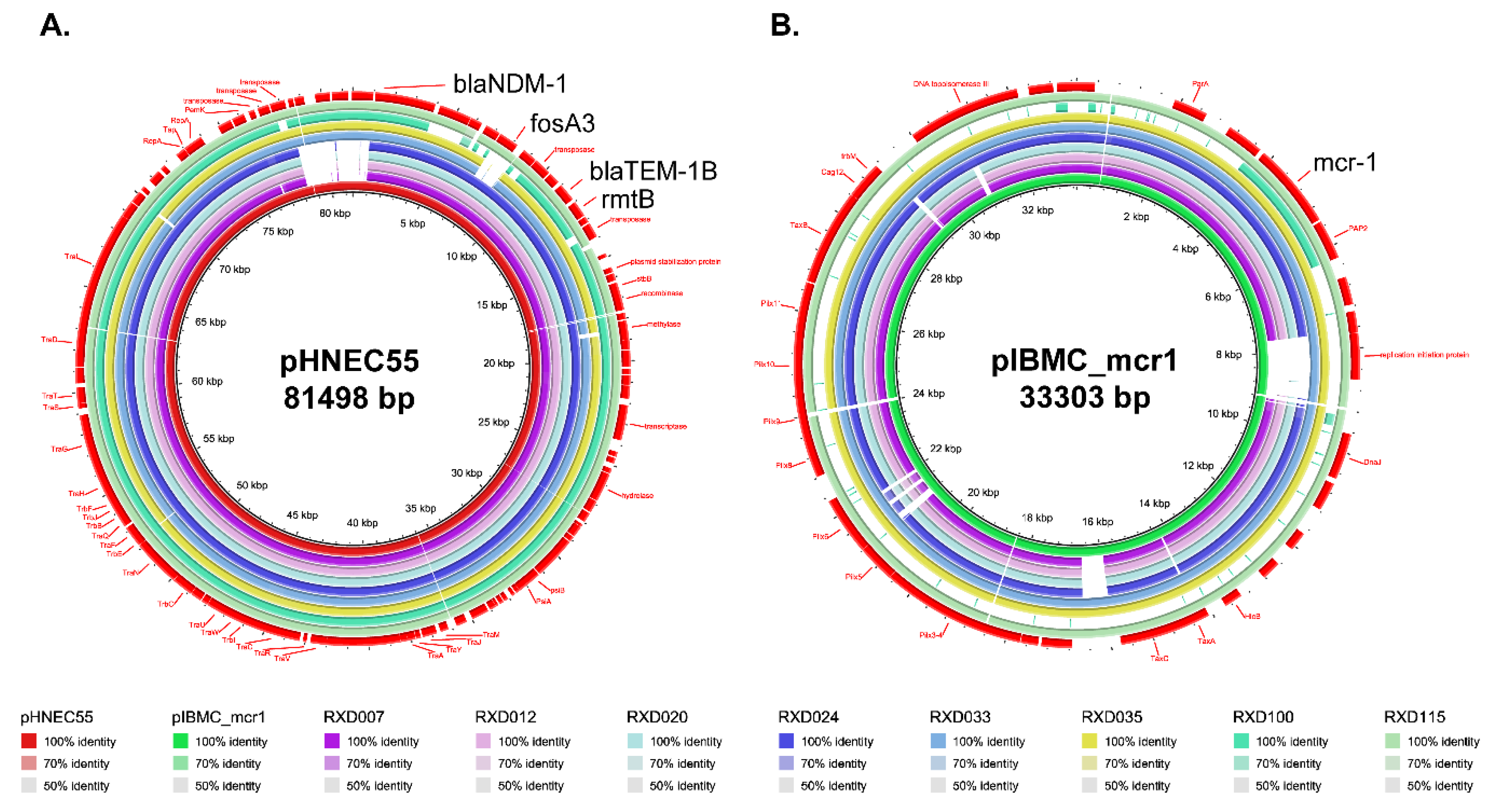 Microorganisms 07 00482 g005
