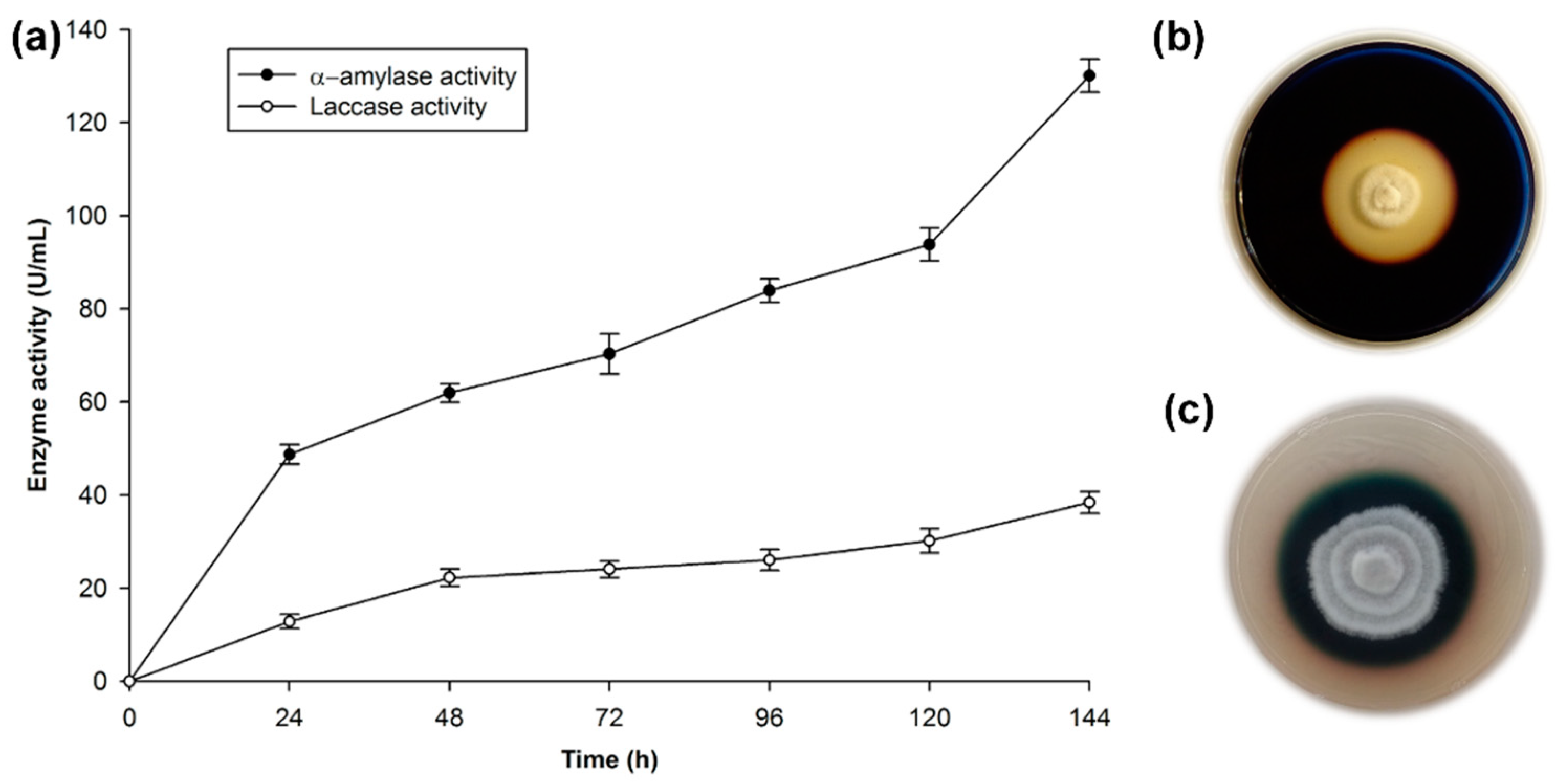 Microorganisms 07 00483 g001 Microorganisms 07 00483 g001