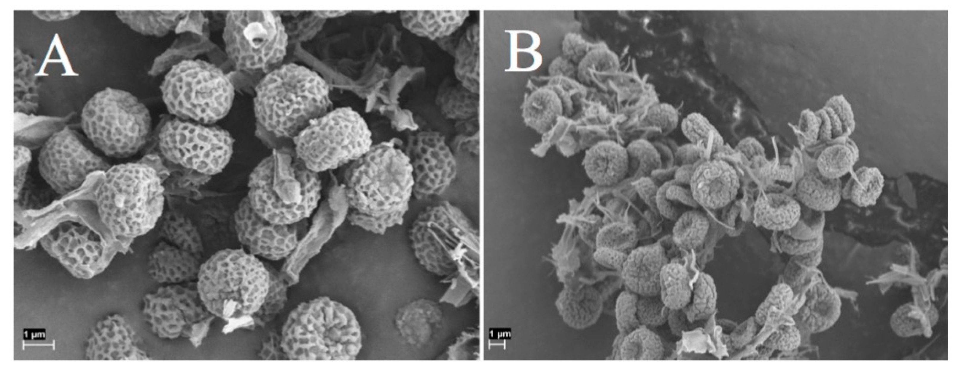 Microorganisms 07 00491 g001