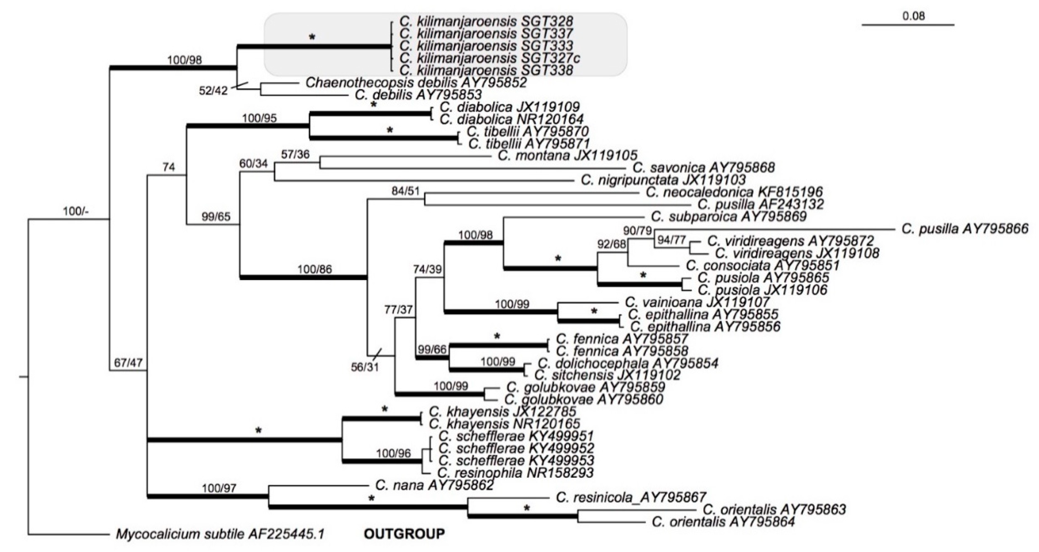 Microorganisms 07 00491 g003