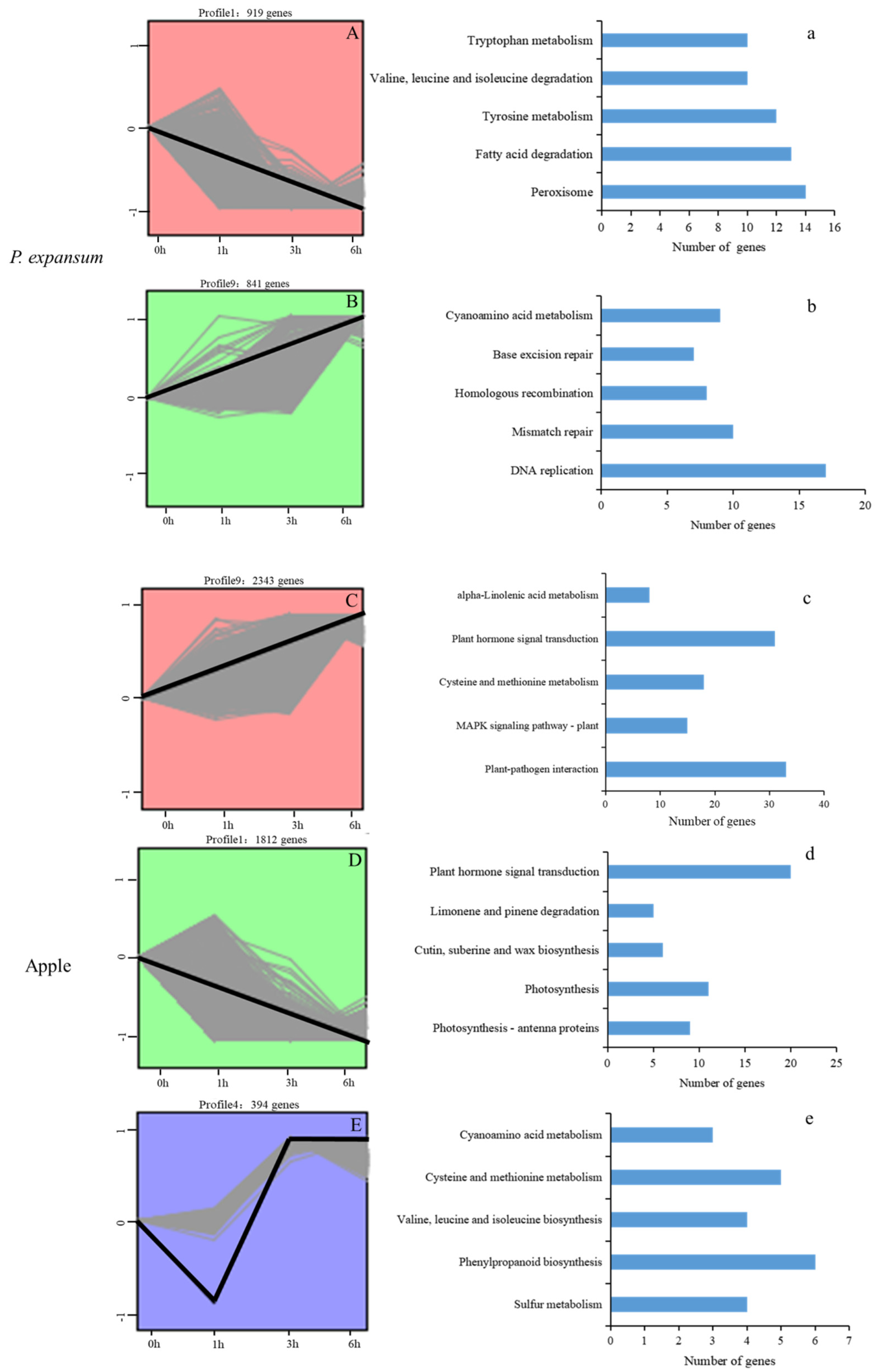 Microorganisms 07 00495 g004 Microorganisms 07 00495 g004