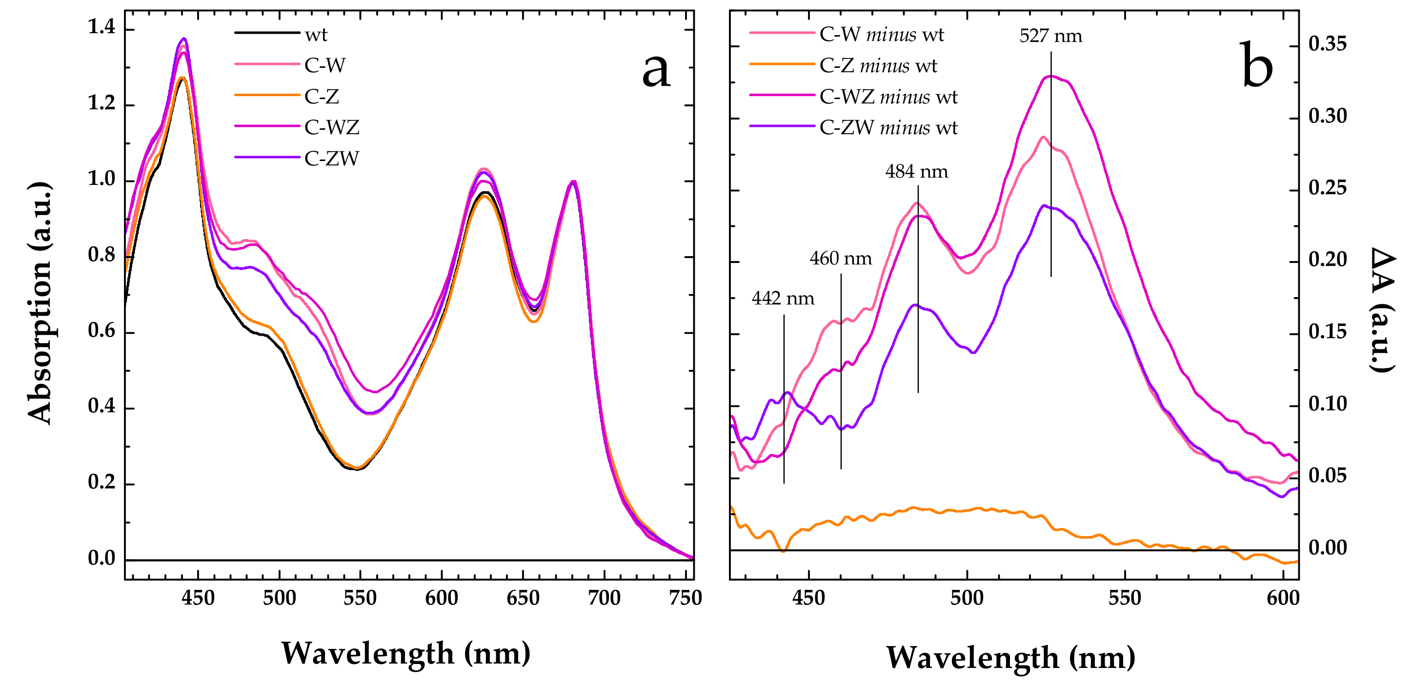 Microorganisms 07 00501 g001 Microorganisms 07 00501 g001