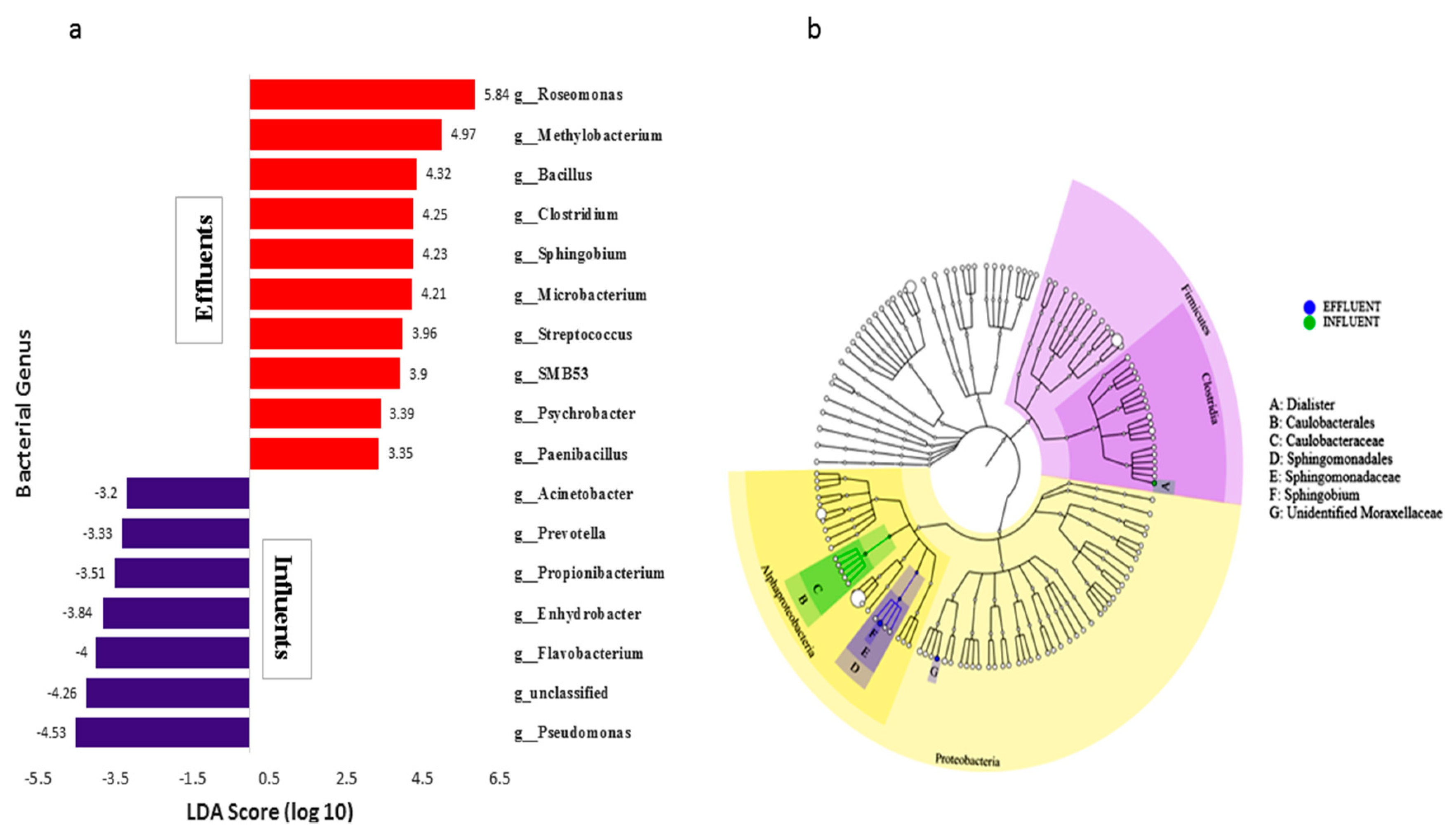 Microorganisms 07 00506 g005 Microorganisms 07 00506 g005