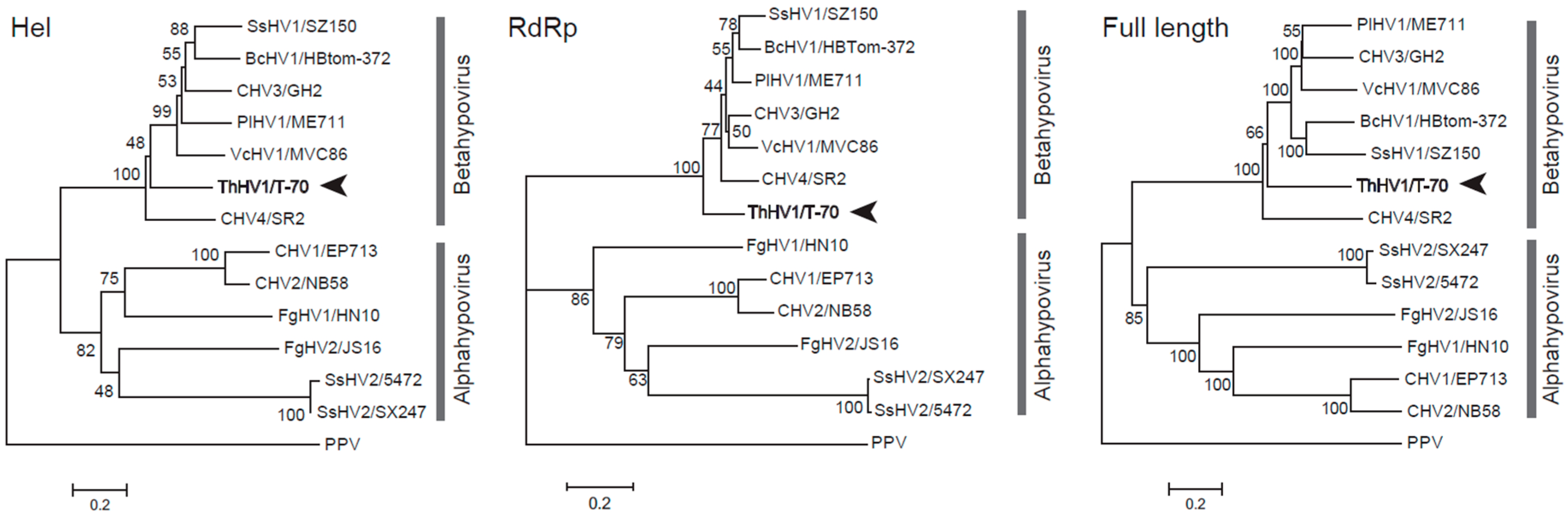 Microorganisms 07 00507 g002