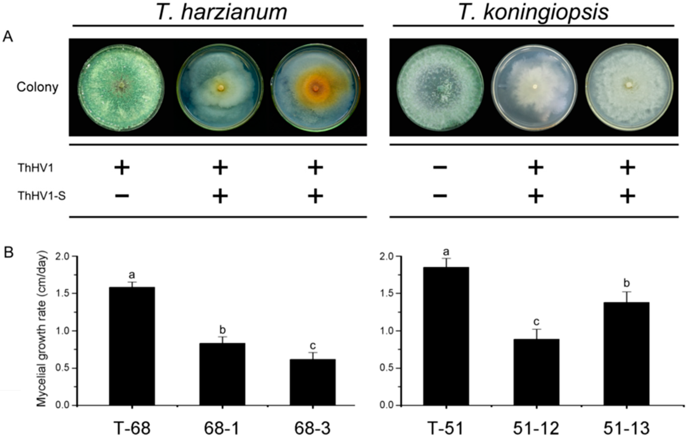 Microorganisms 07 00507 g006
