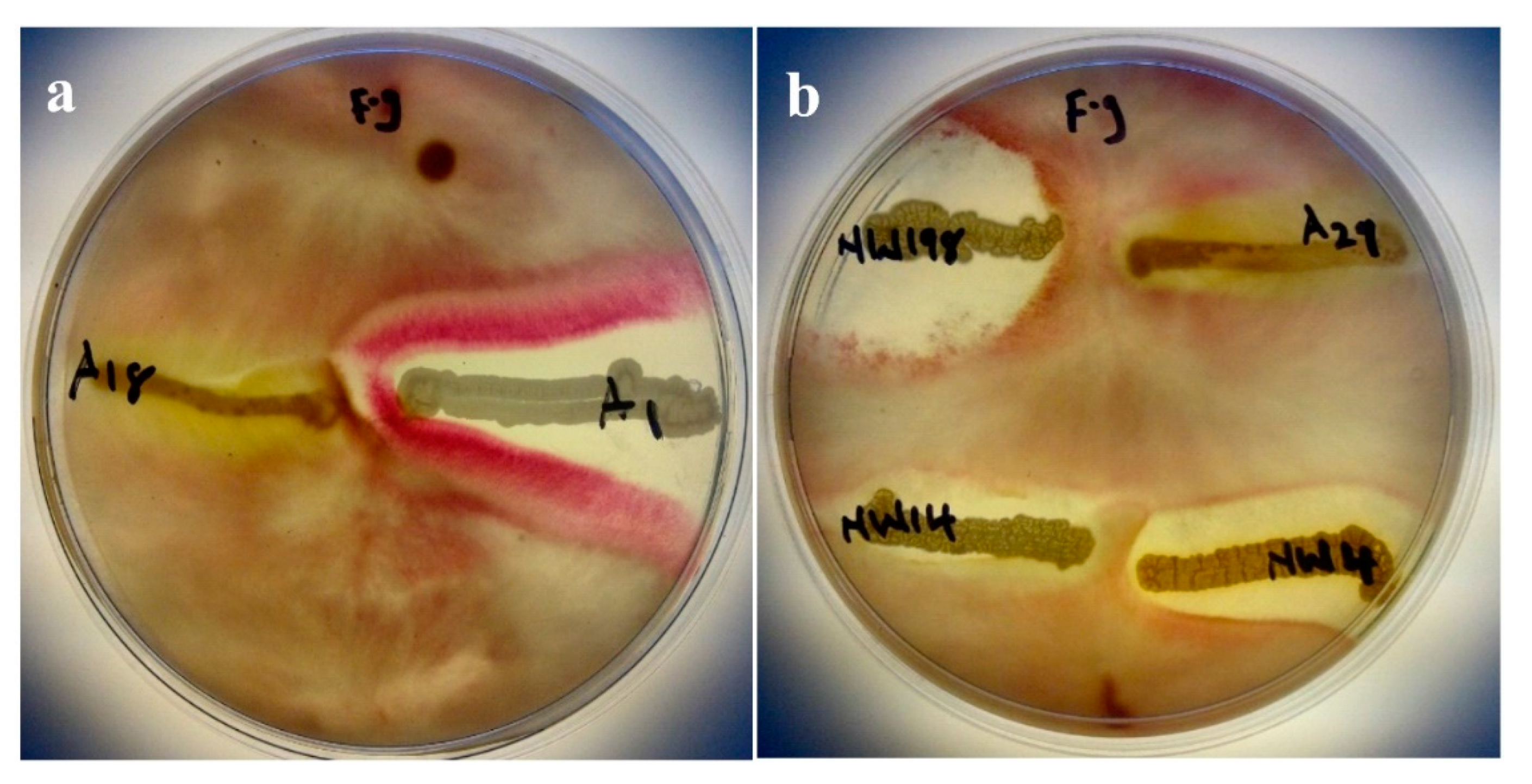 Microorganisms 07 00519 g003 Microorganisms 07 00519 g003