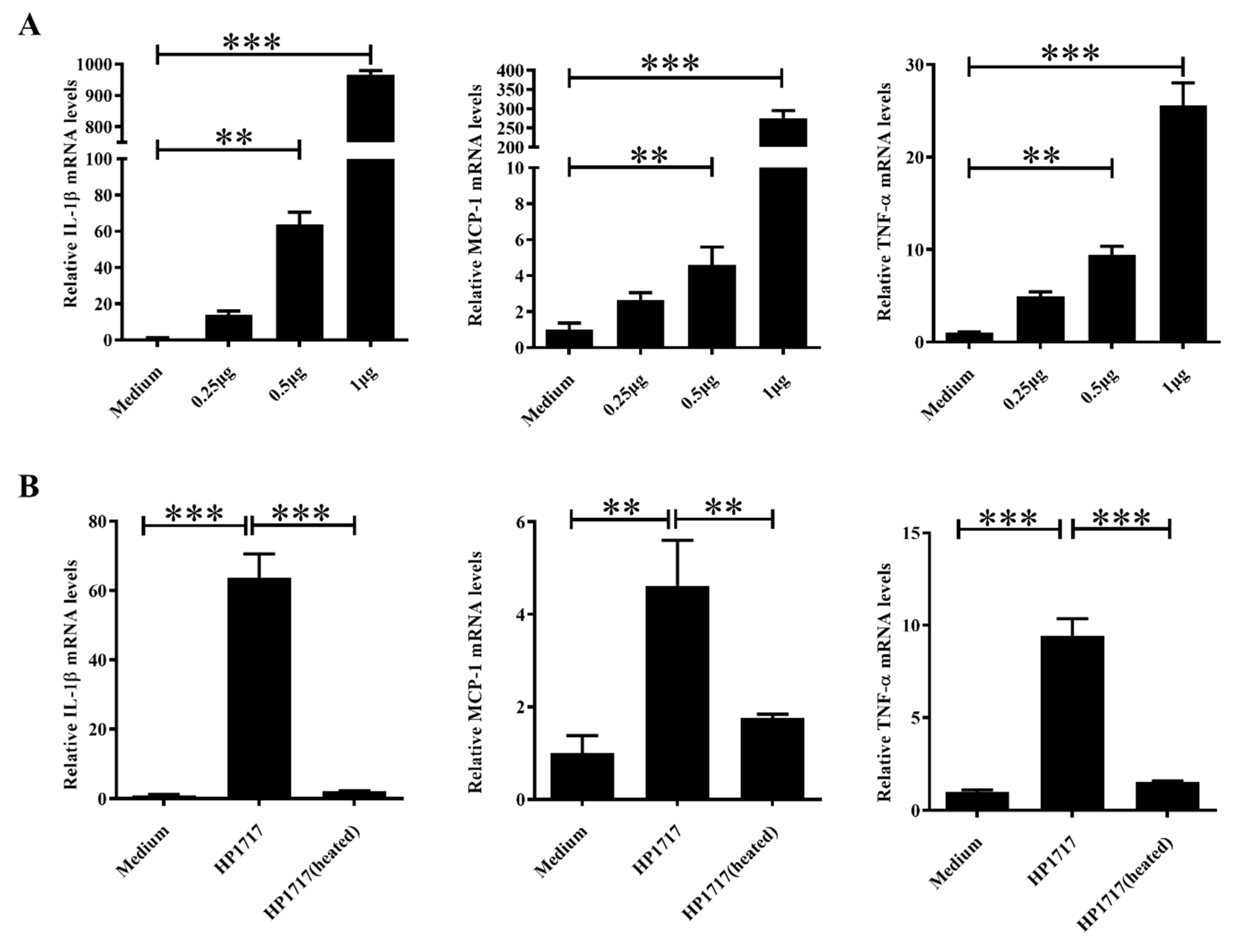 Microorganisms 07 00522 g003