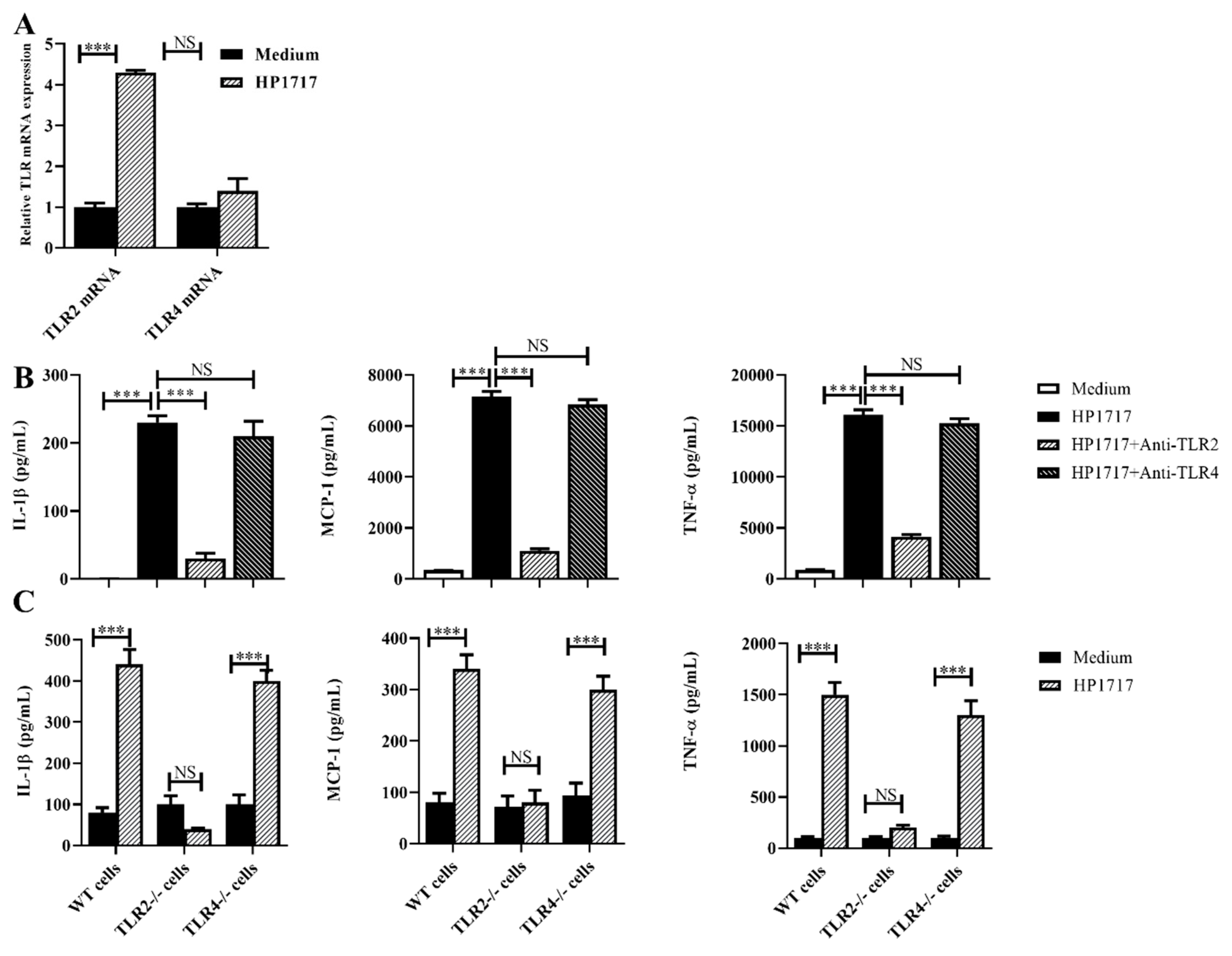 Microorganisms 07 00522 g004