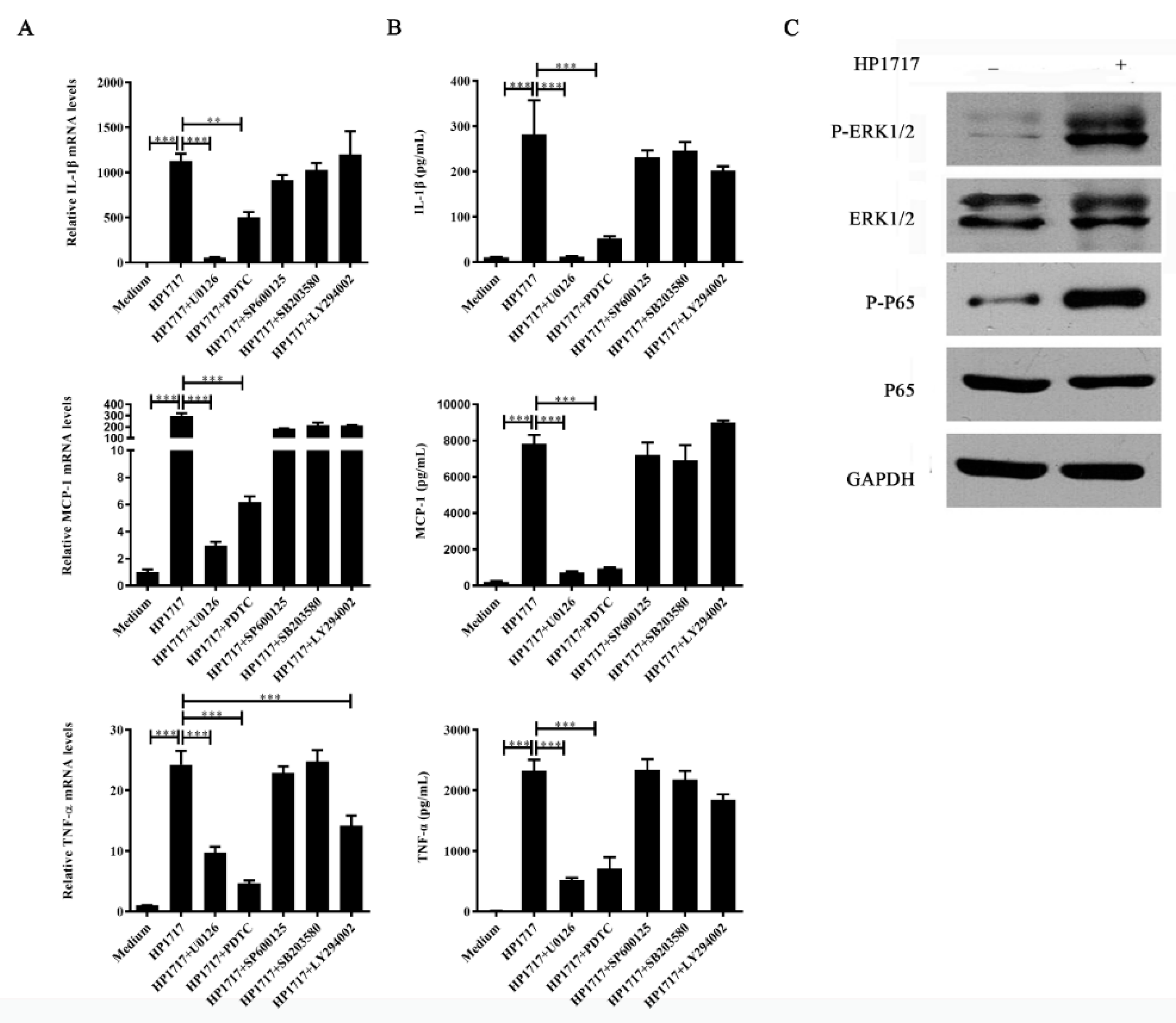 Microorganisms 07 00522 g005