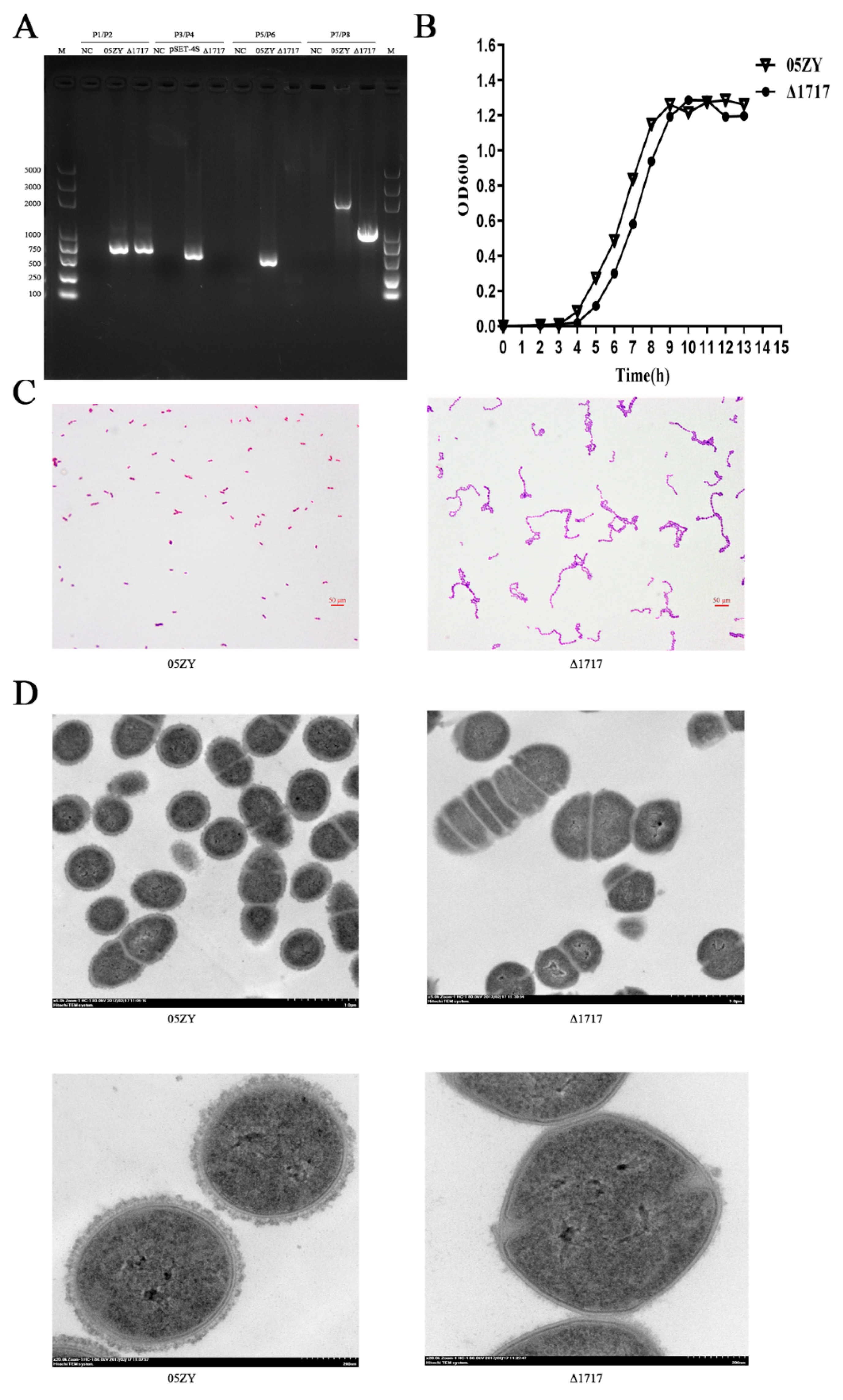 Microorganisms 07 00522 g006