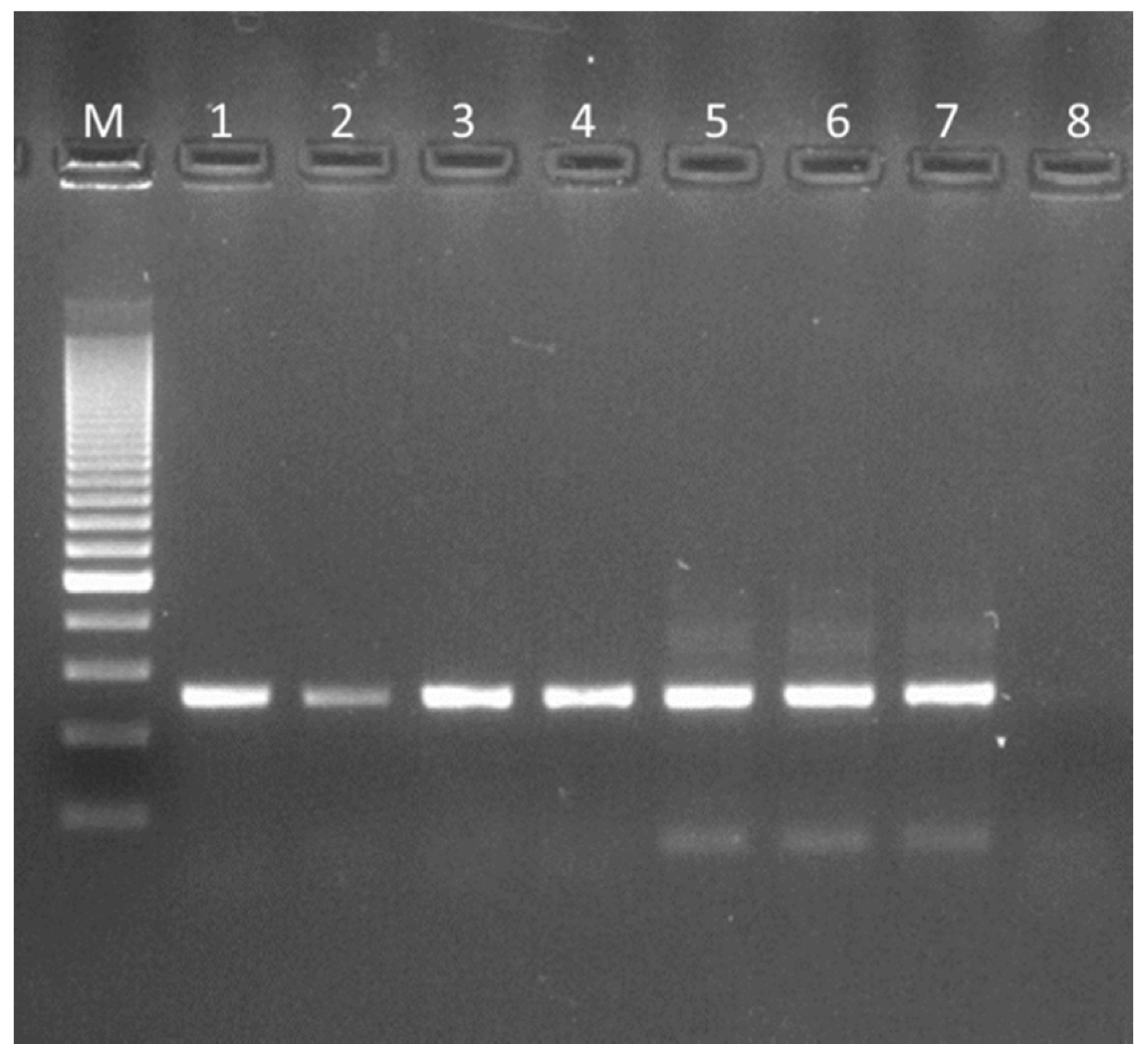 Microorganisms 07 00524 g001
