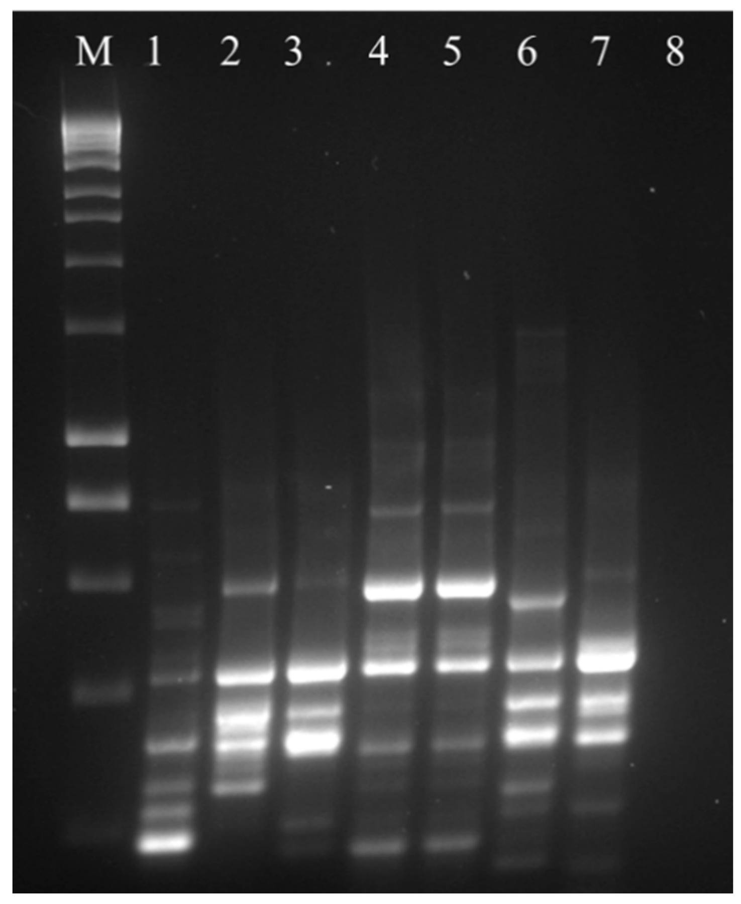 Microorganisms 07 00524 g002