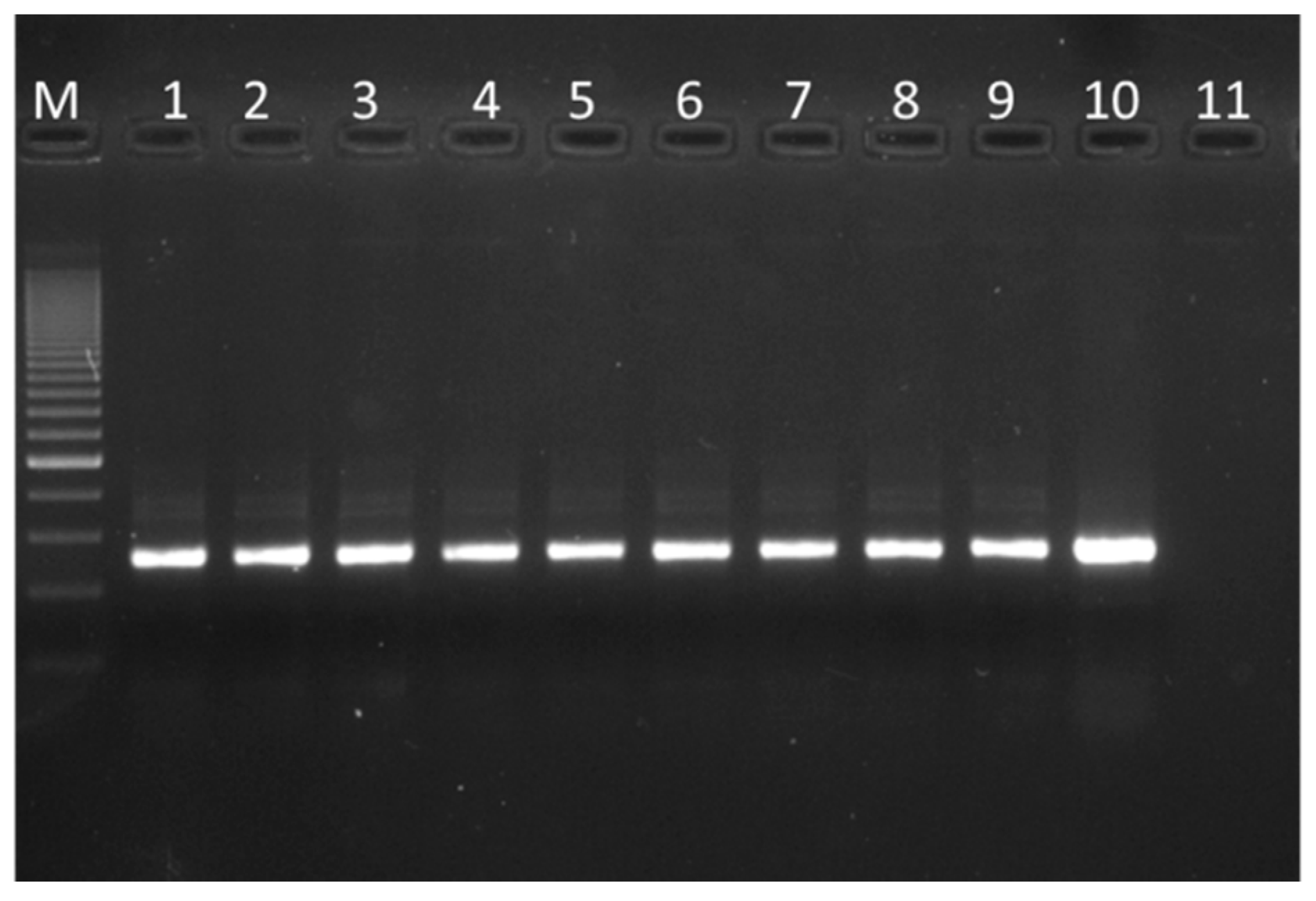 Microorganisms 07 00524 g003