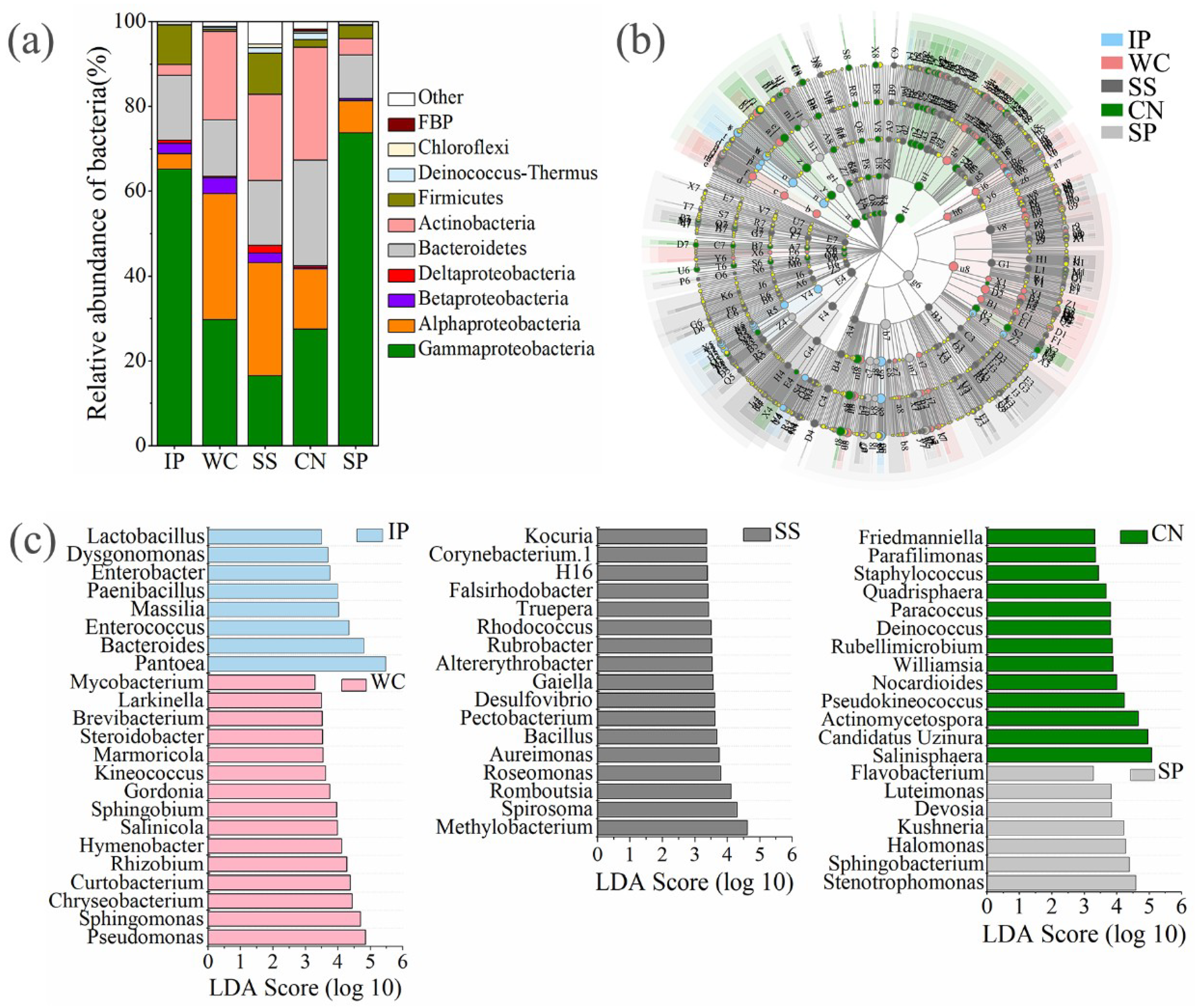 Microorganisms 07 00525 g005