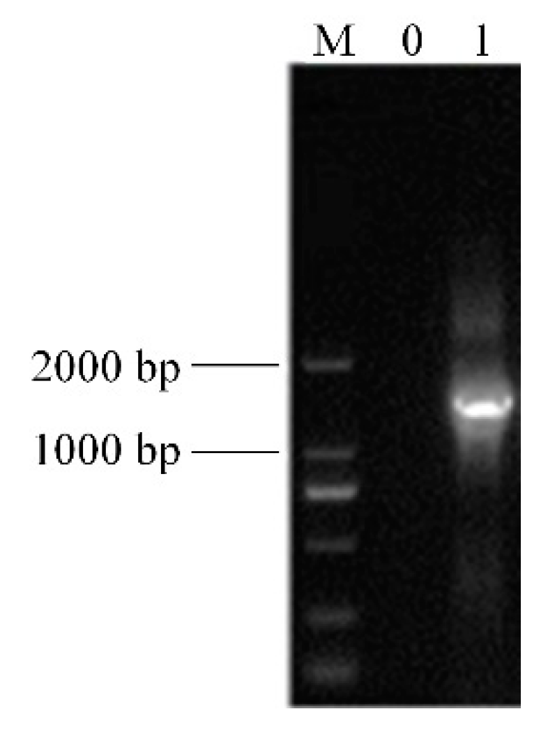 Microorganisms 07 00530 g002
