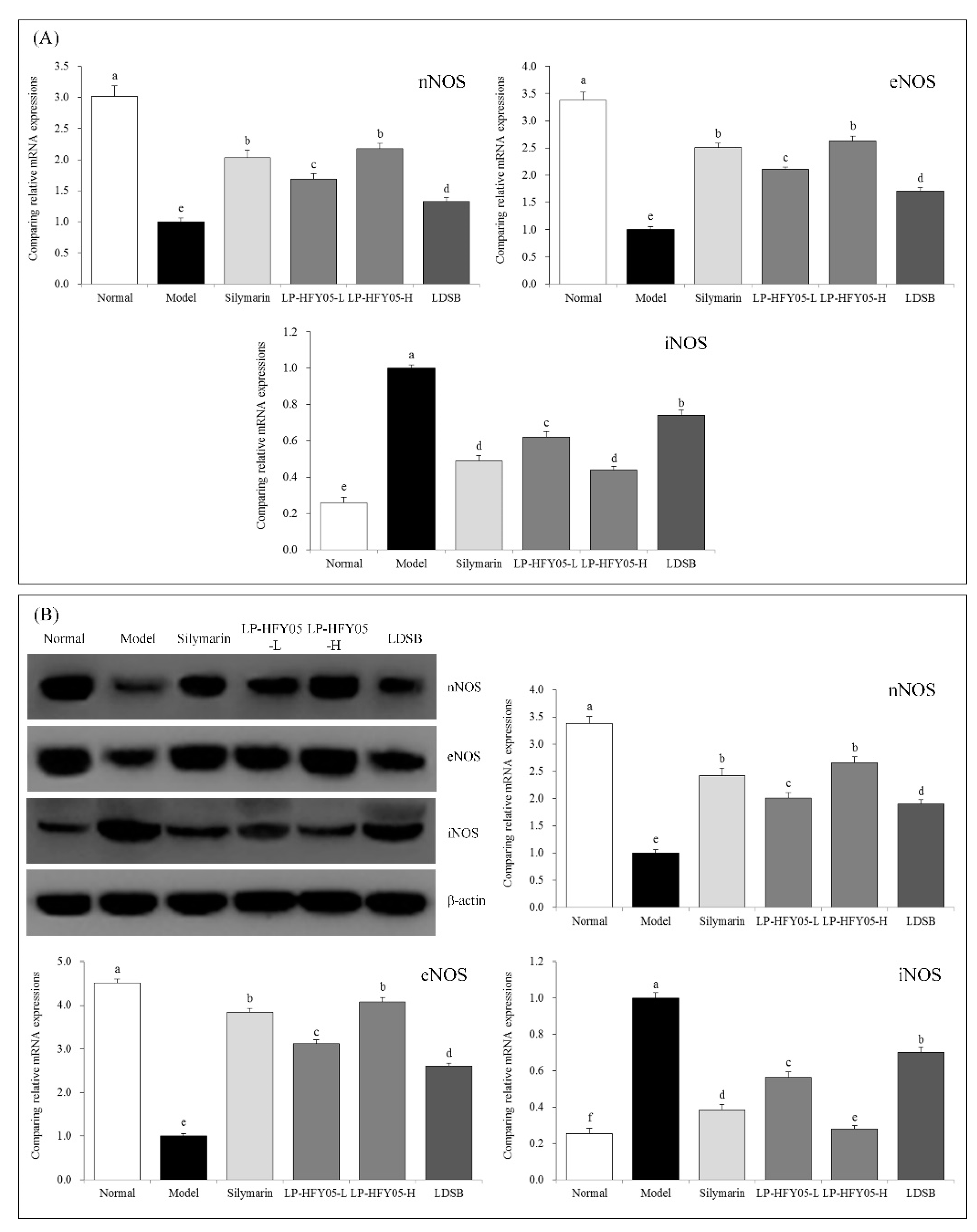 Microorganisms 07 00530 g005
