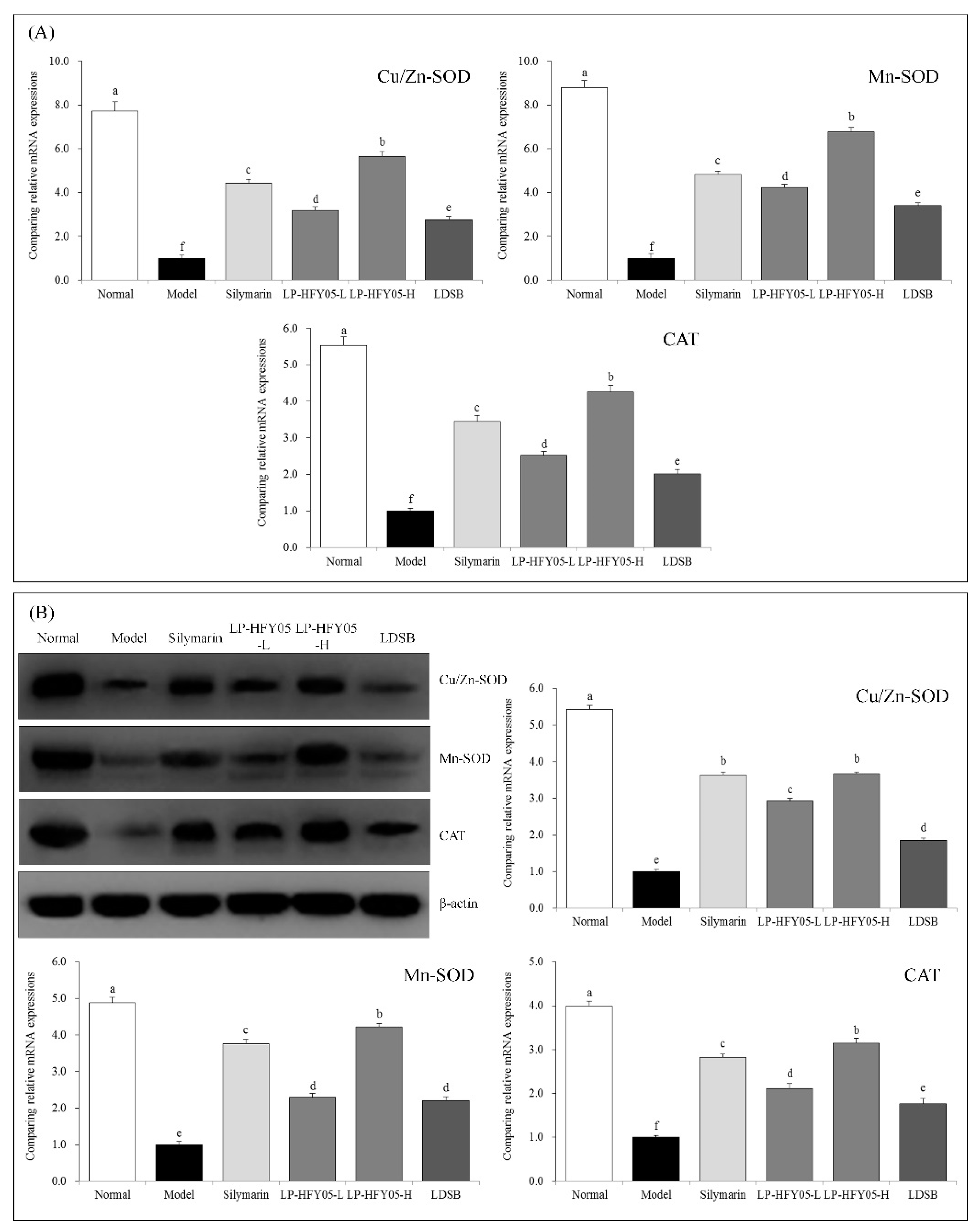 Microorganisms 07 00530 g006