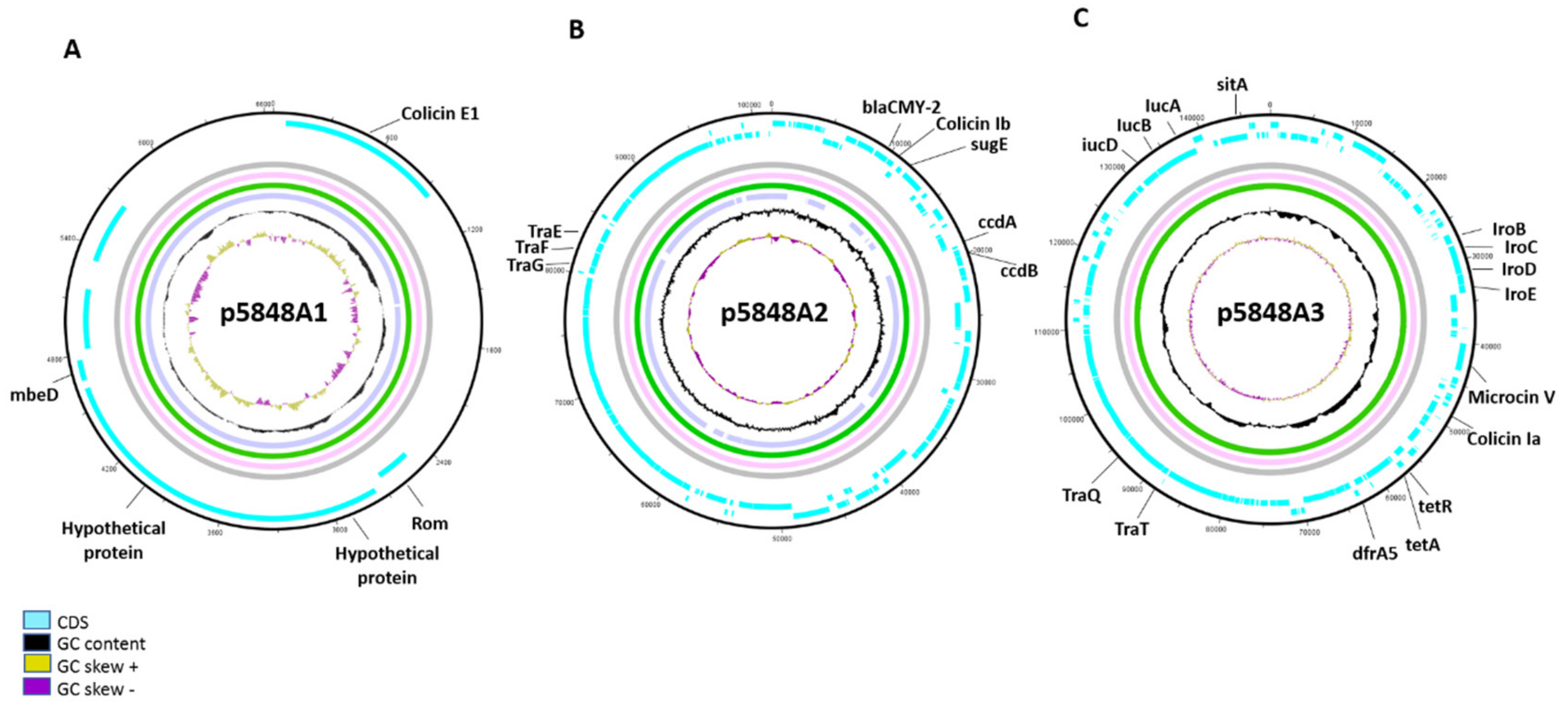 Microorganisms 07 00534 g003