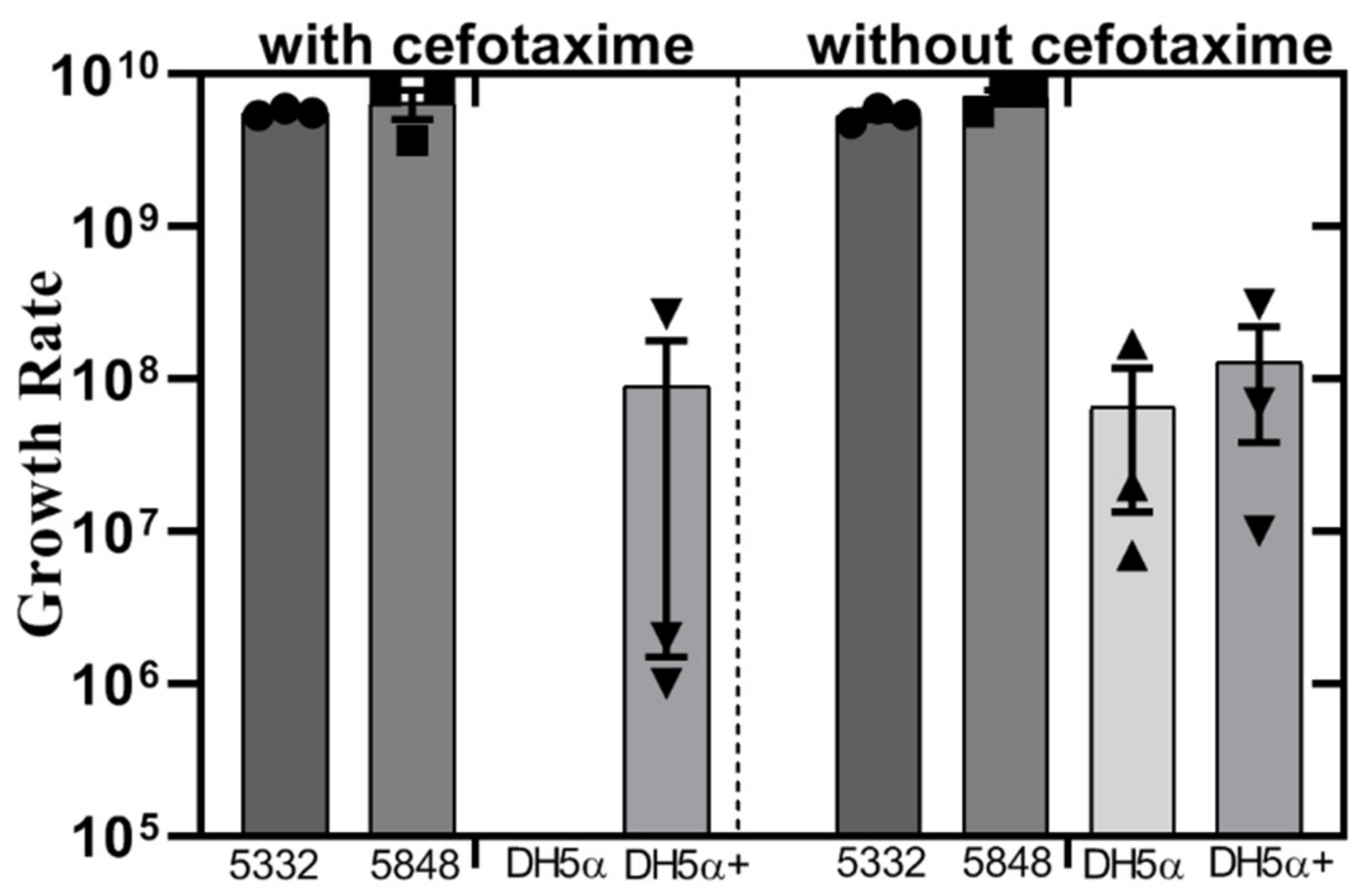 Microorganisms 07 00534 g004