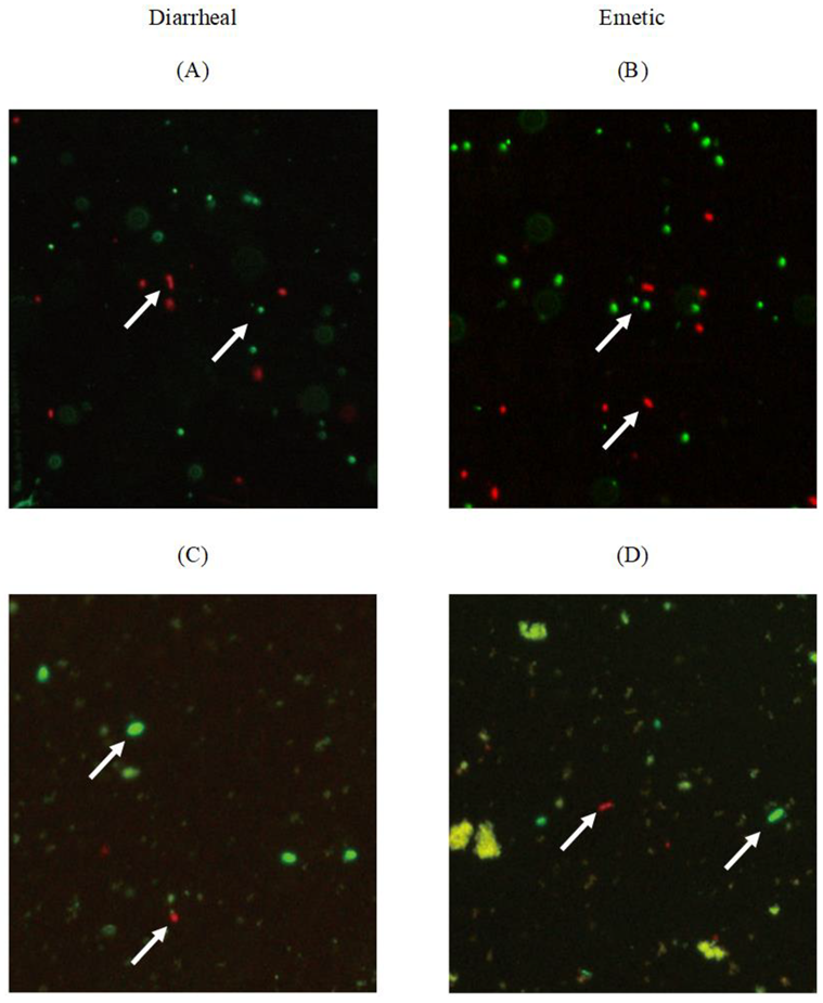 Microorganisms 07 00536 g002 Microorganisms 07 00536 g002