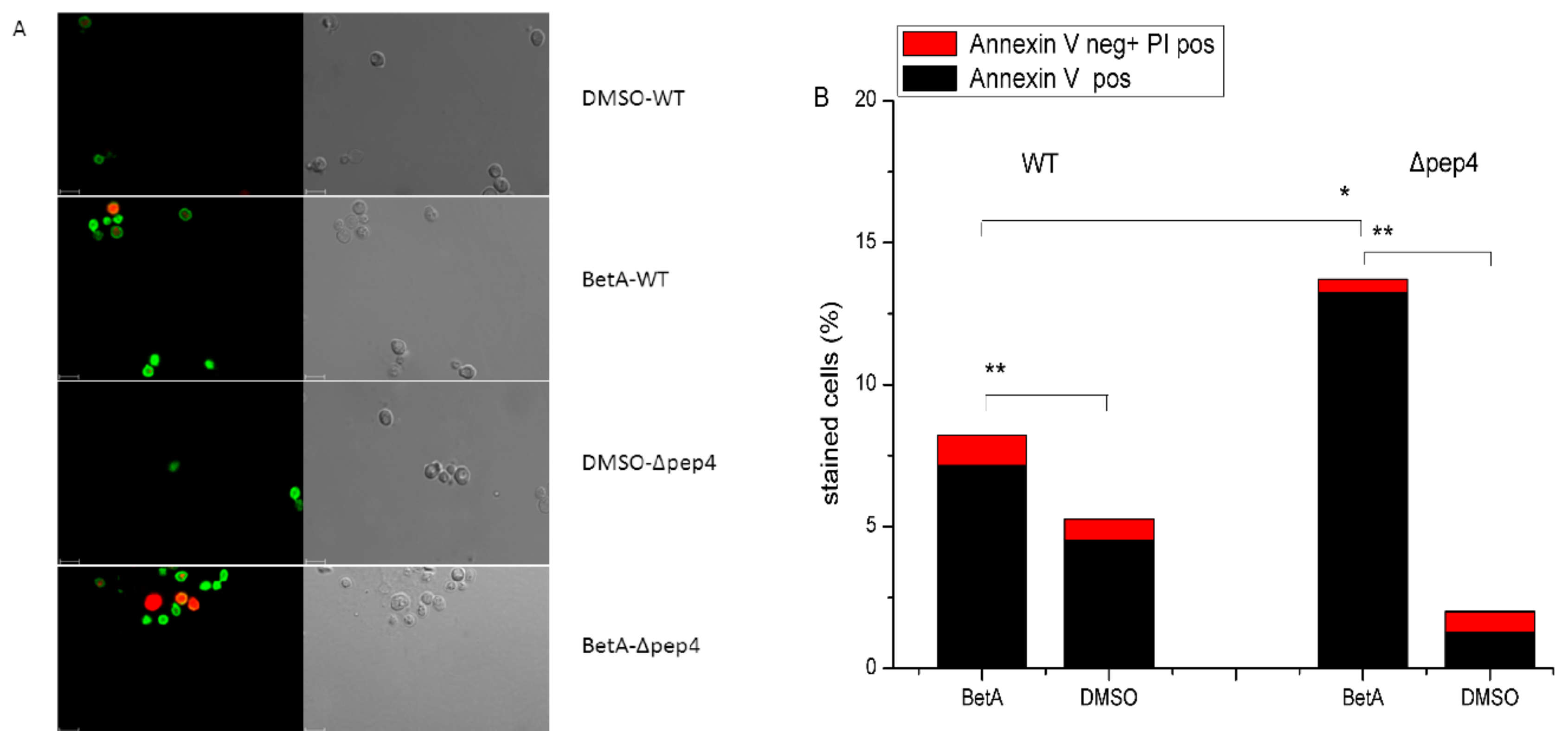 Microorganisms 07 00538 g003