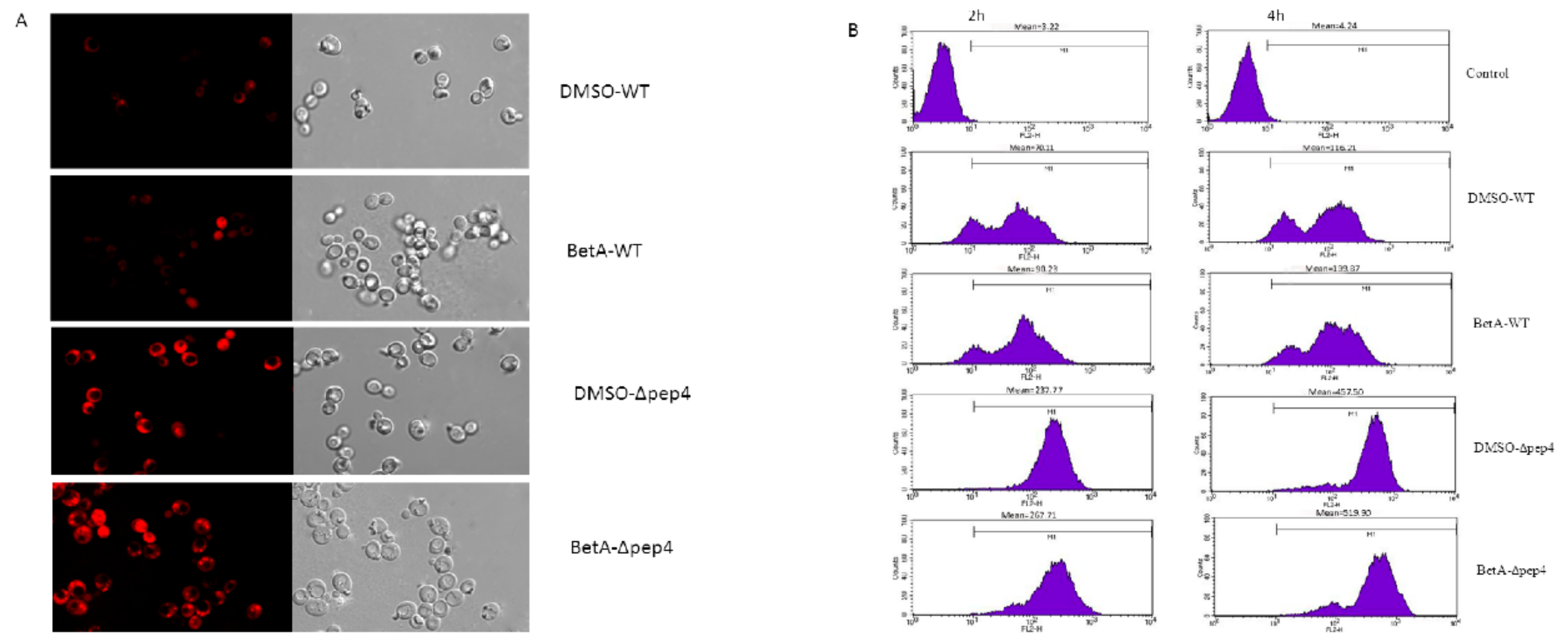 Microorganisms 07 00538 g006