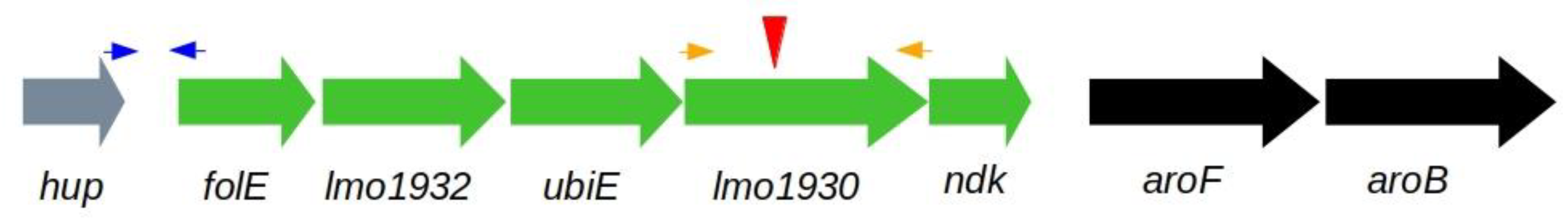Microorganisms 07 00539 g001