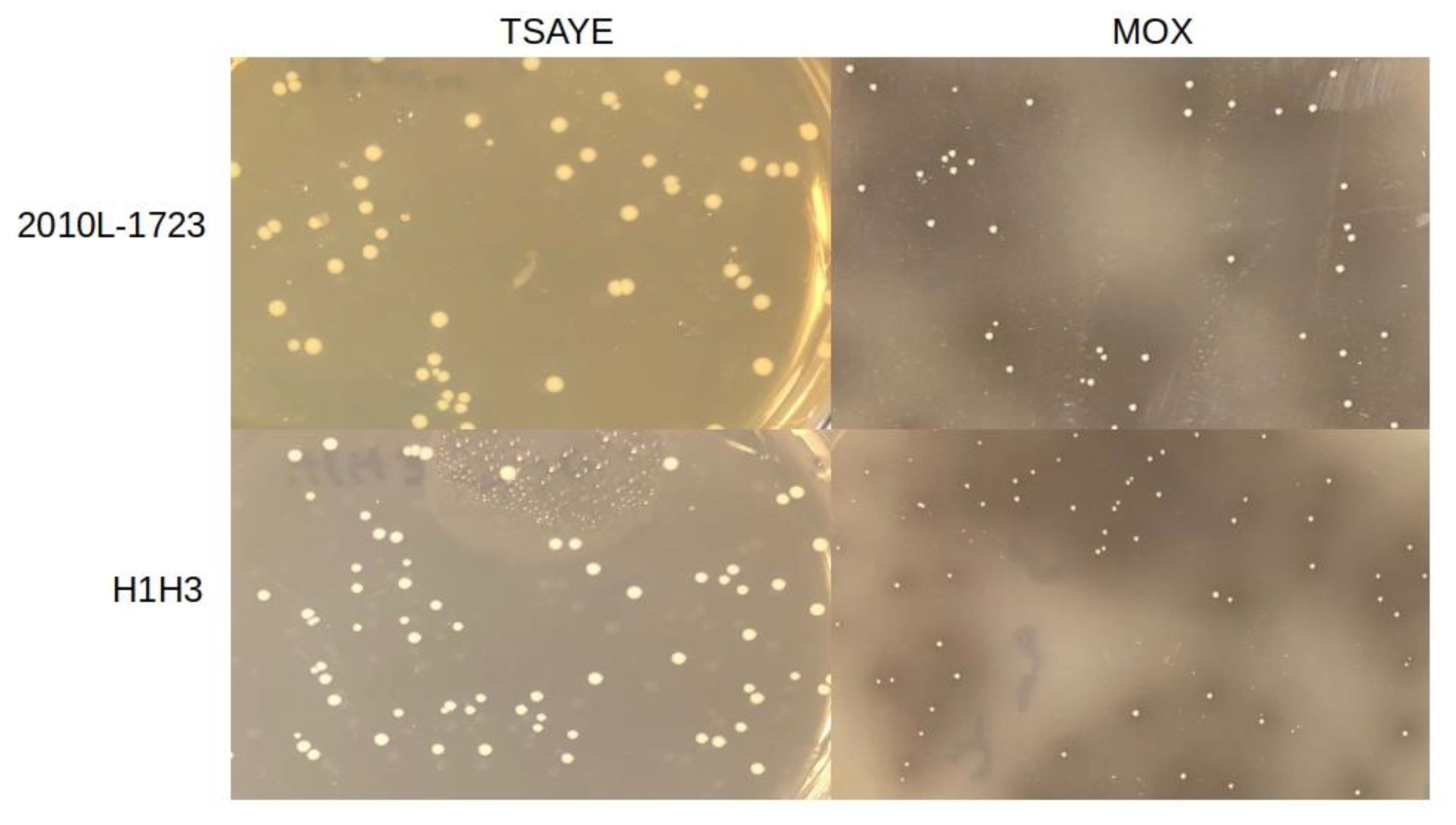 Microorganisms 07 00539 g006