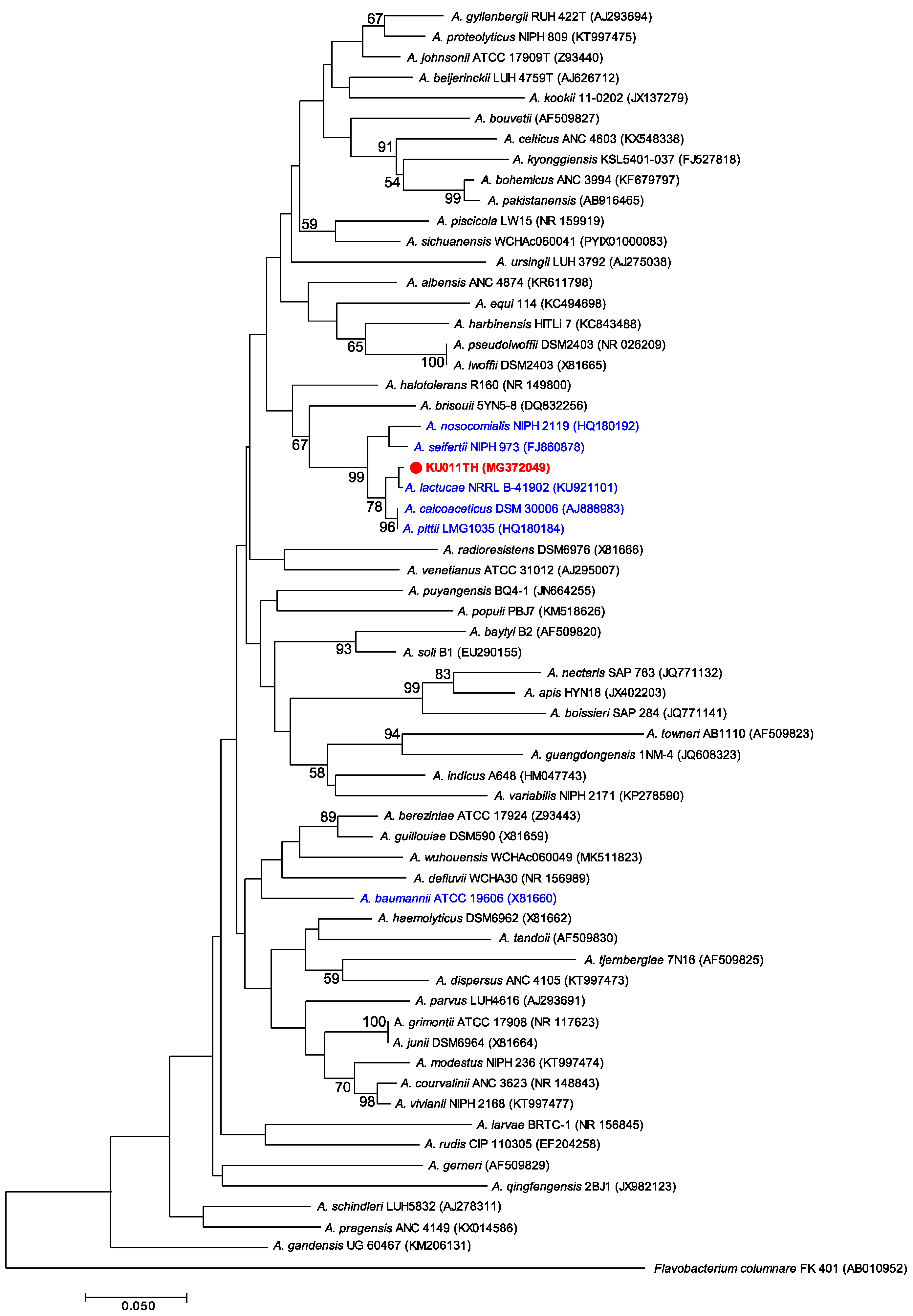 Microorganisms 07 00549 g002 Microorganisms 07 00549 g002