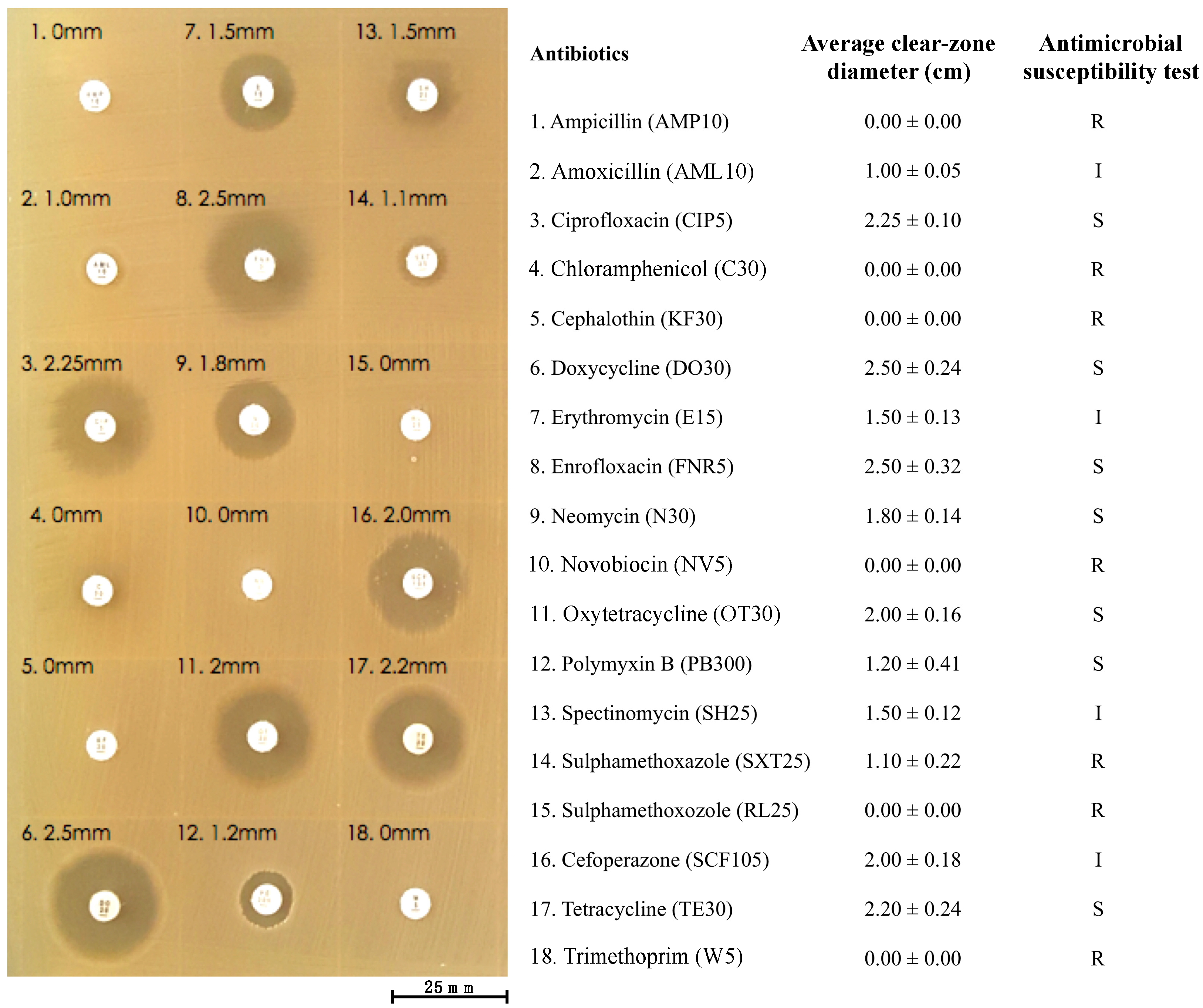 Microorganisms 07 00549 g005 Microorganisms 07 00549 g005