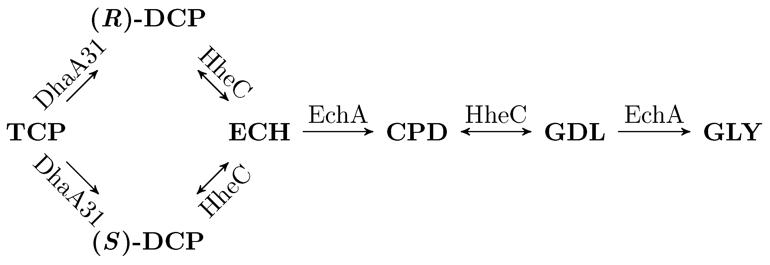 Microorganisms 07 00553 g001